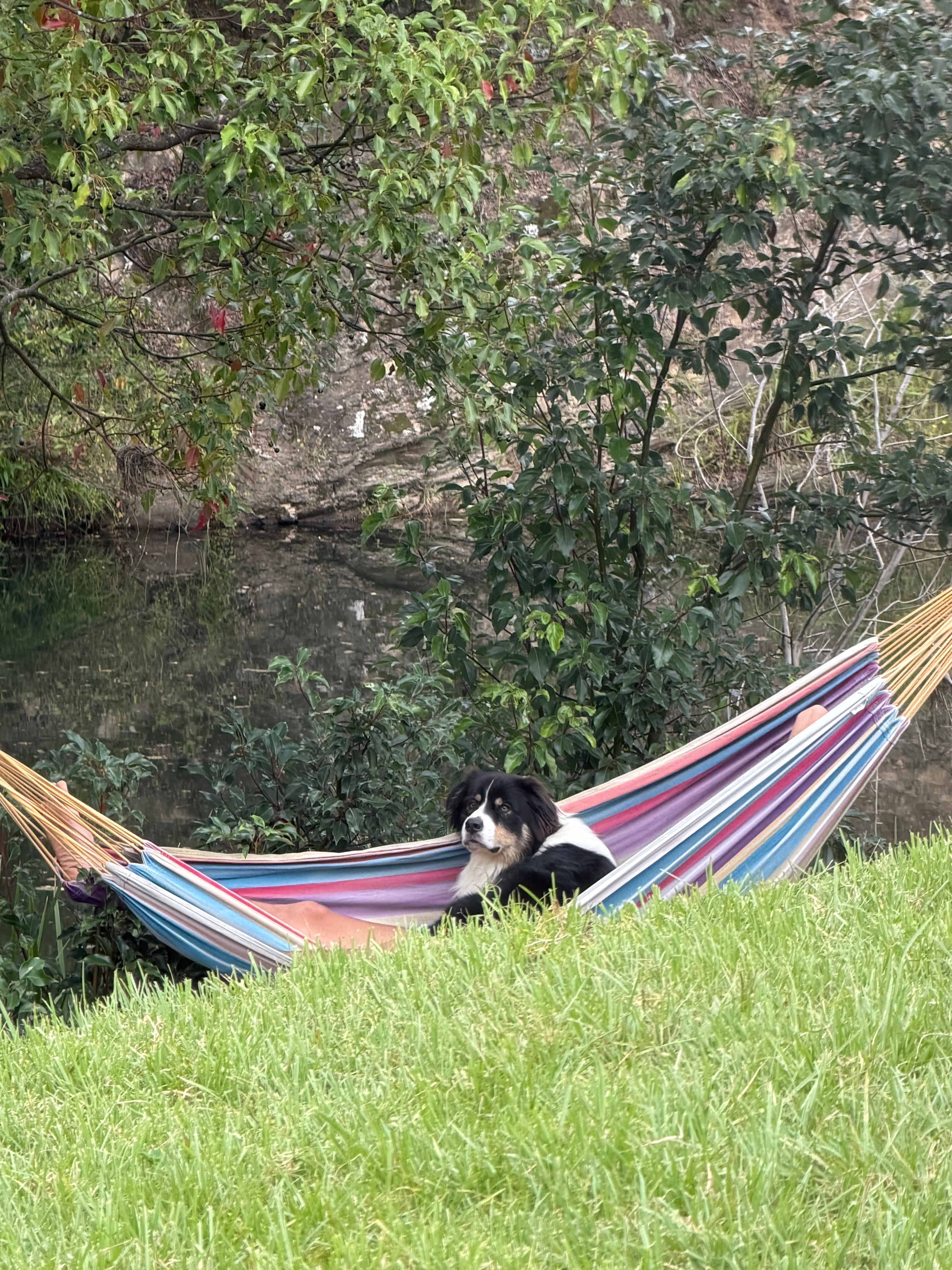 Yarrawin Camping