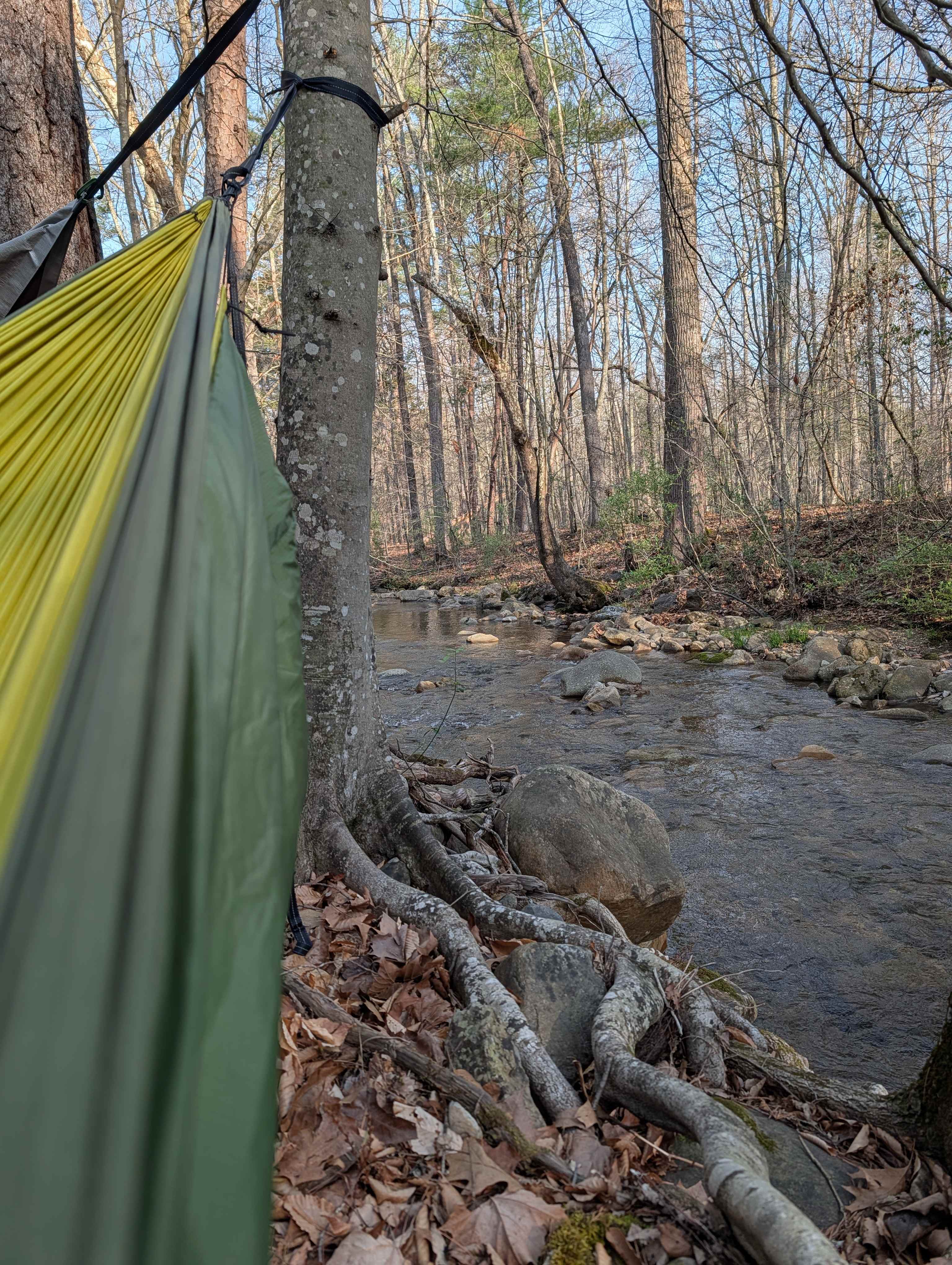 Camping on the creek