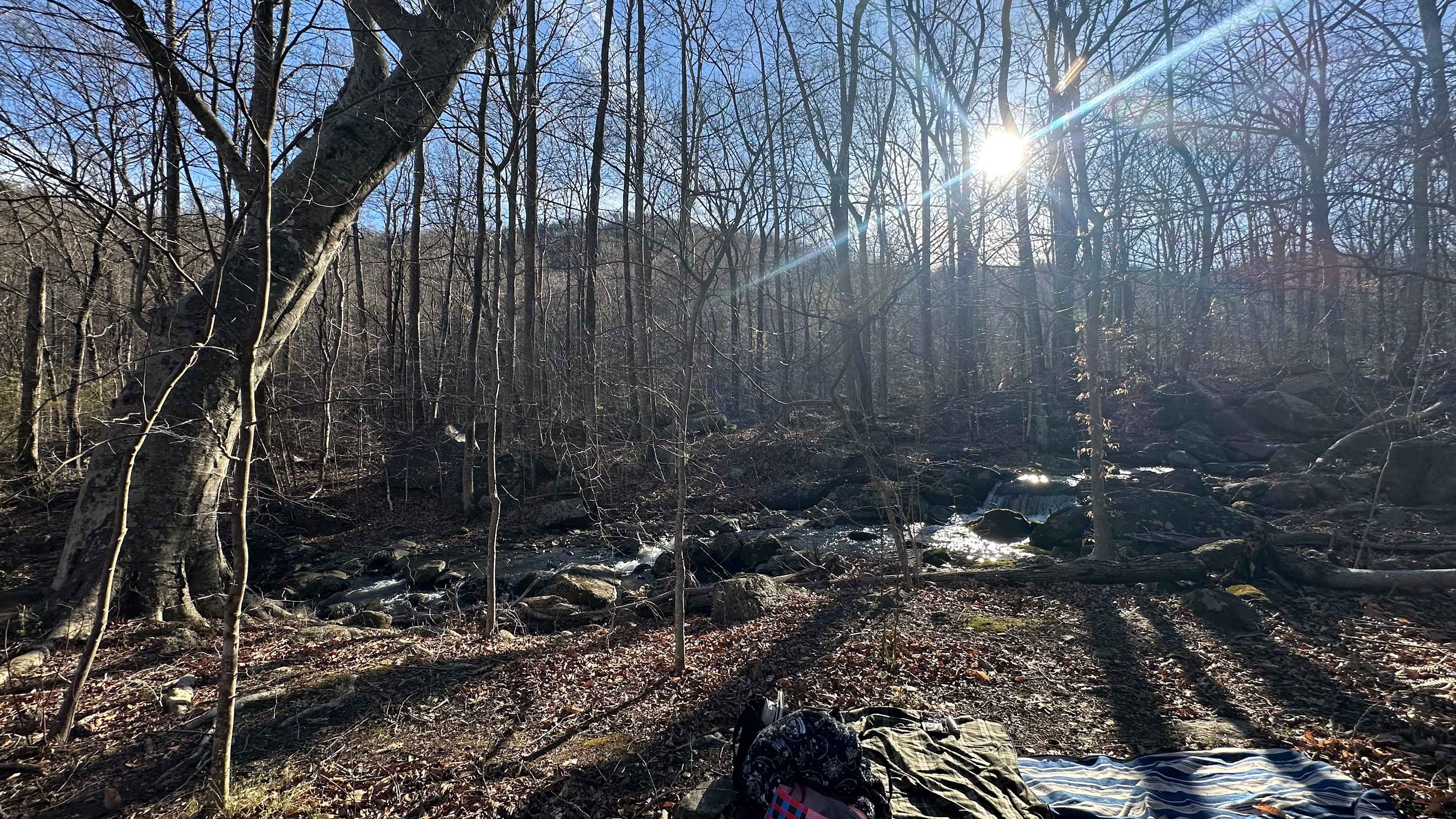 Arcadia Sanctuary