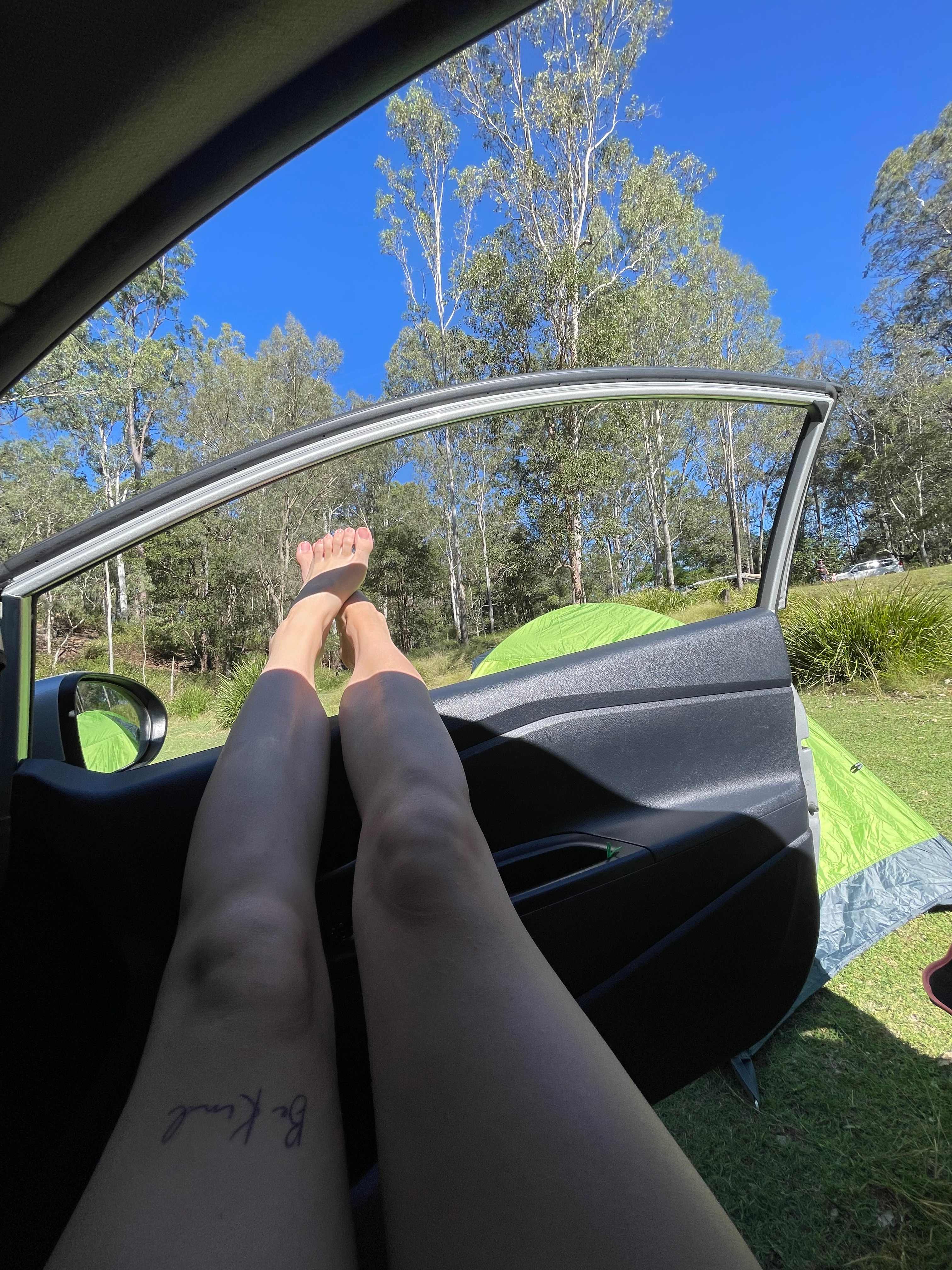 Immersed in nature