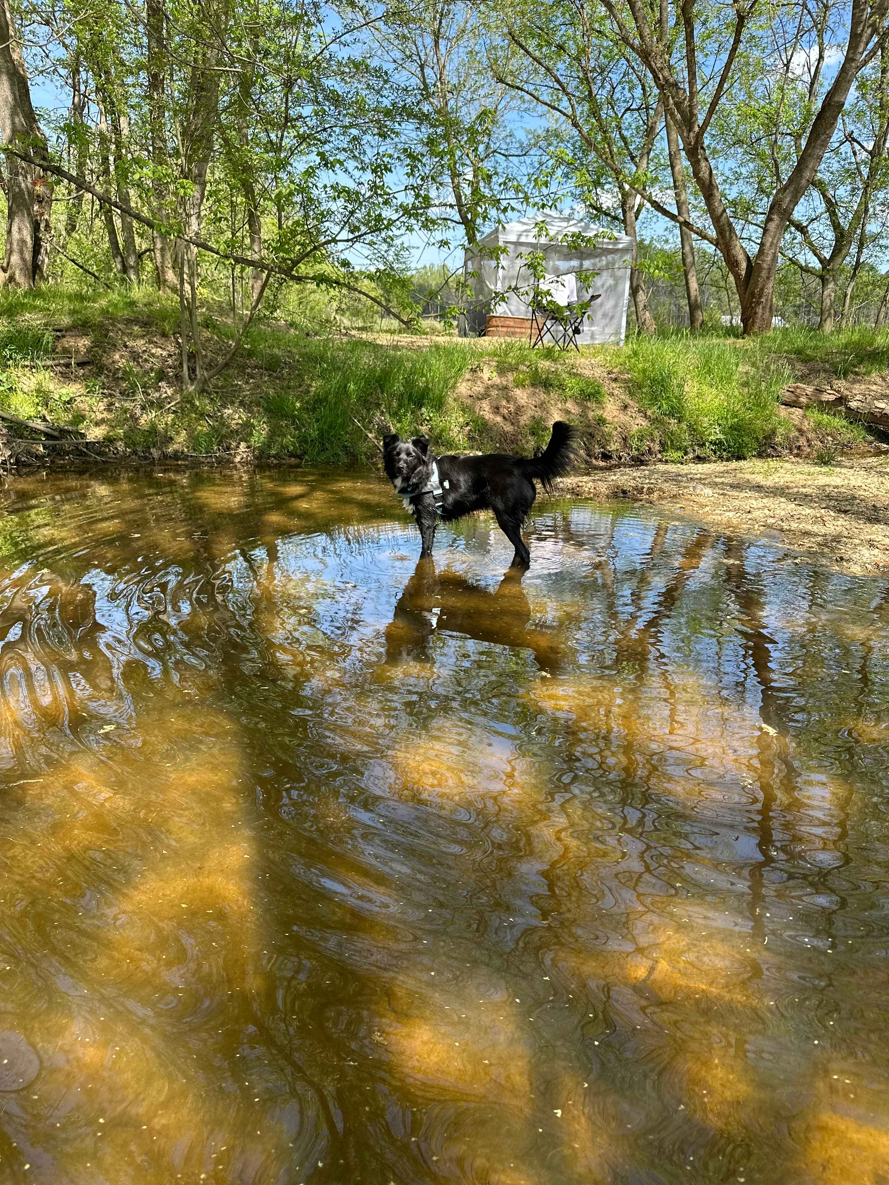 The Oasis at Harmon Creek Farms