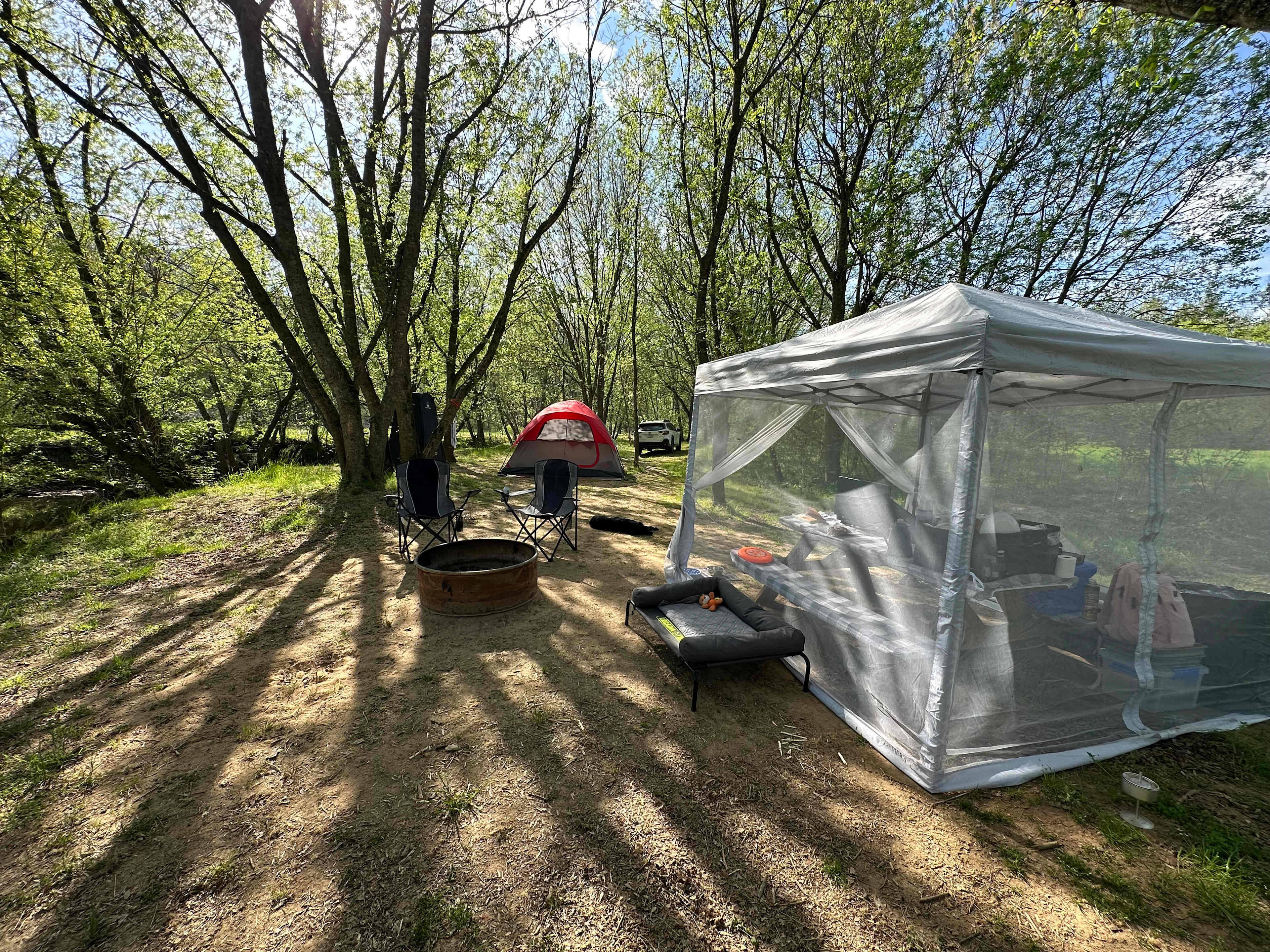 Picture of the site