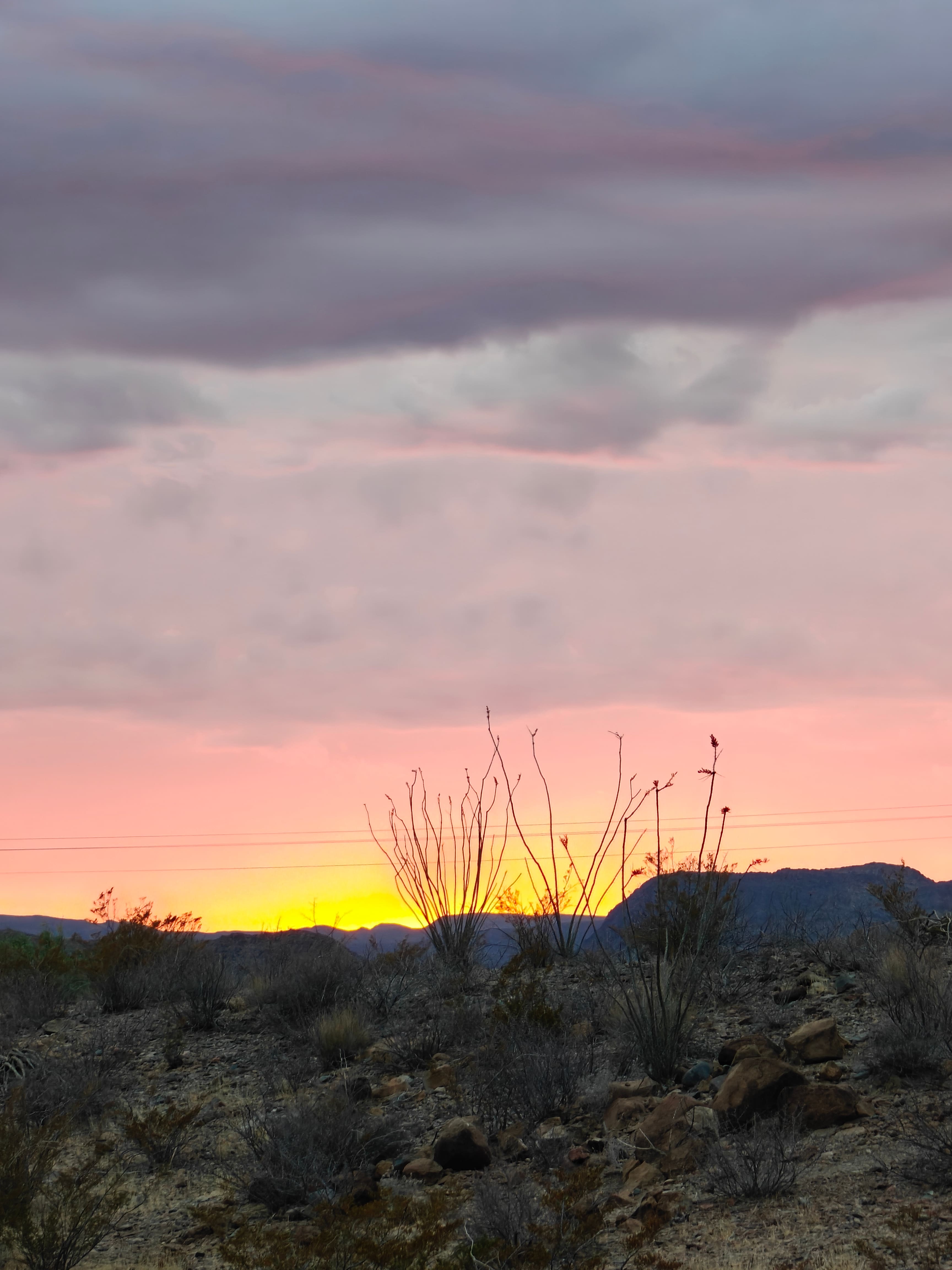 Willow Creek Camping Company