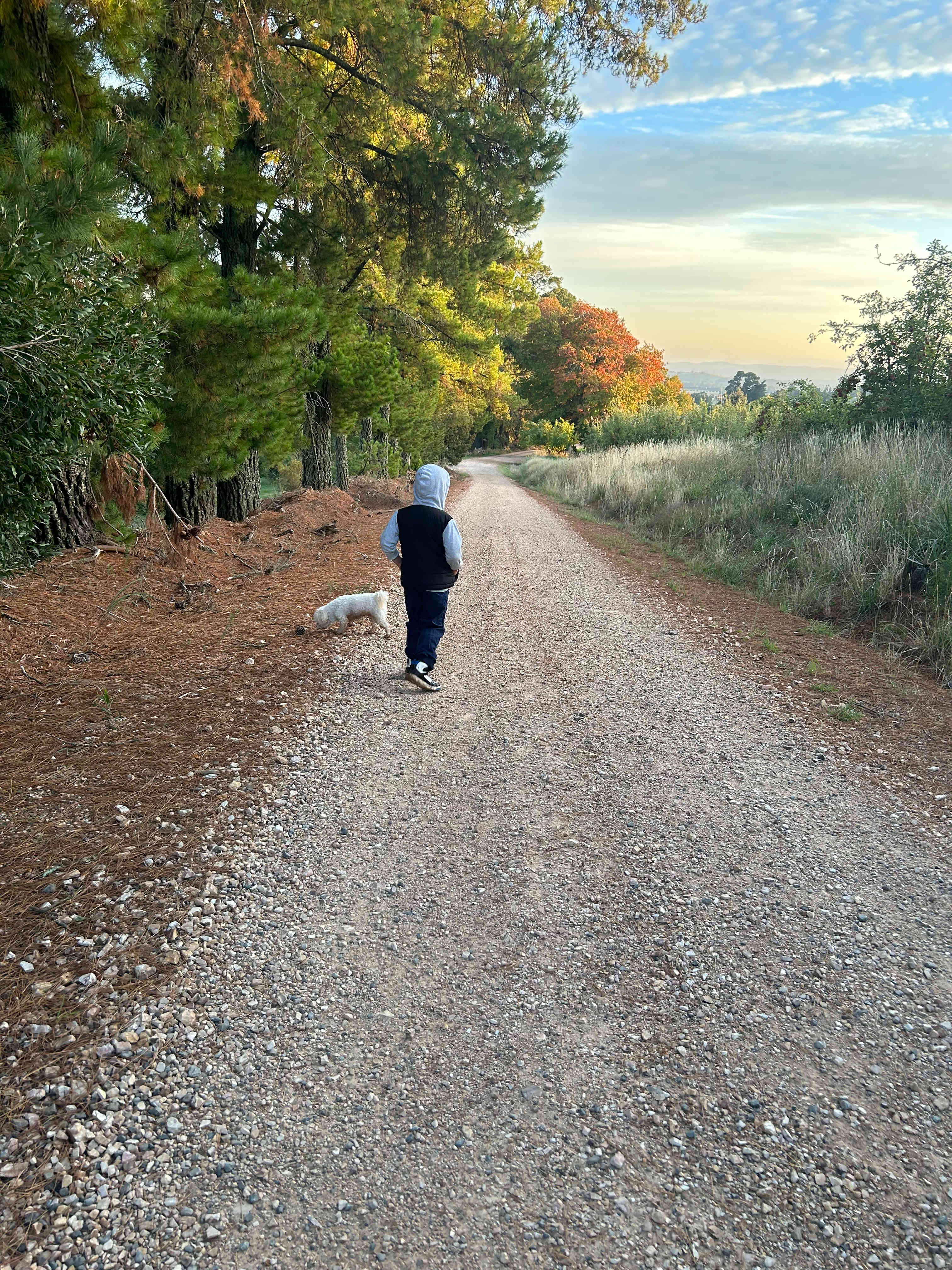 On a walk from our site 