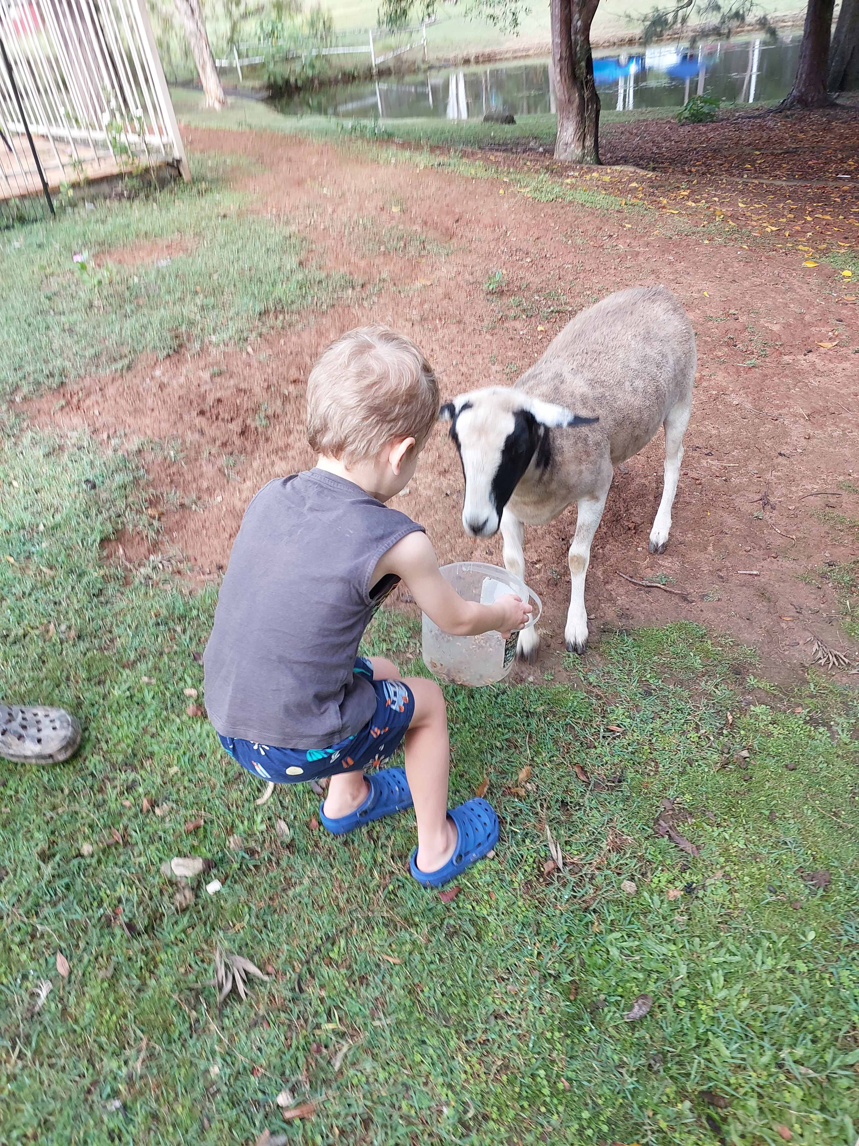 Vander Farm