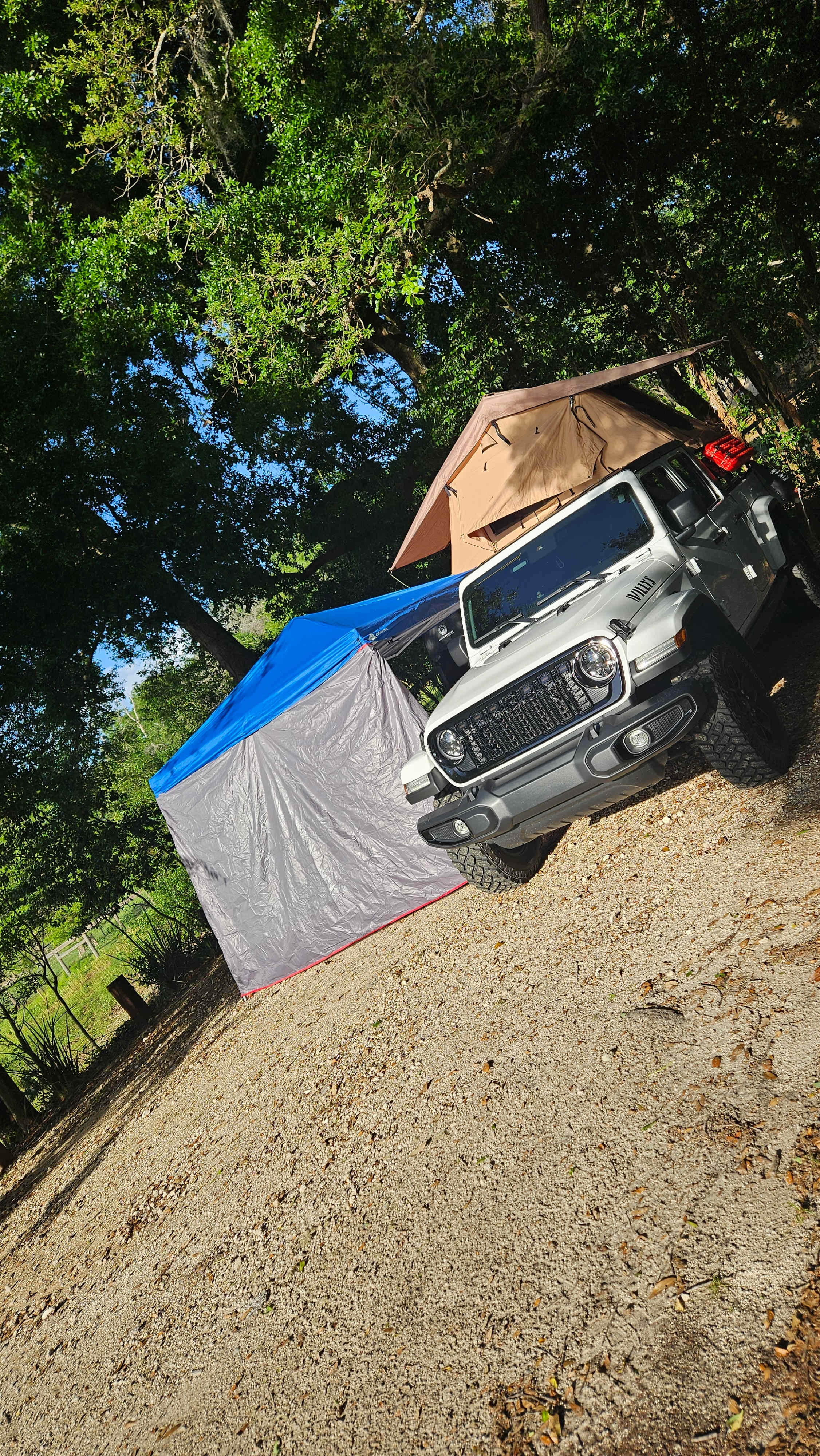 Shaded by trees were great ! 