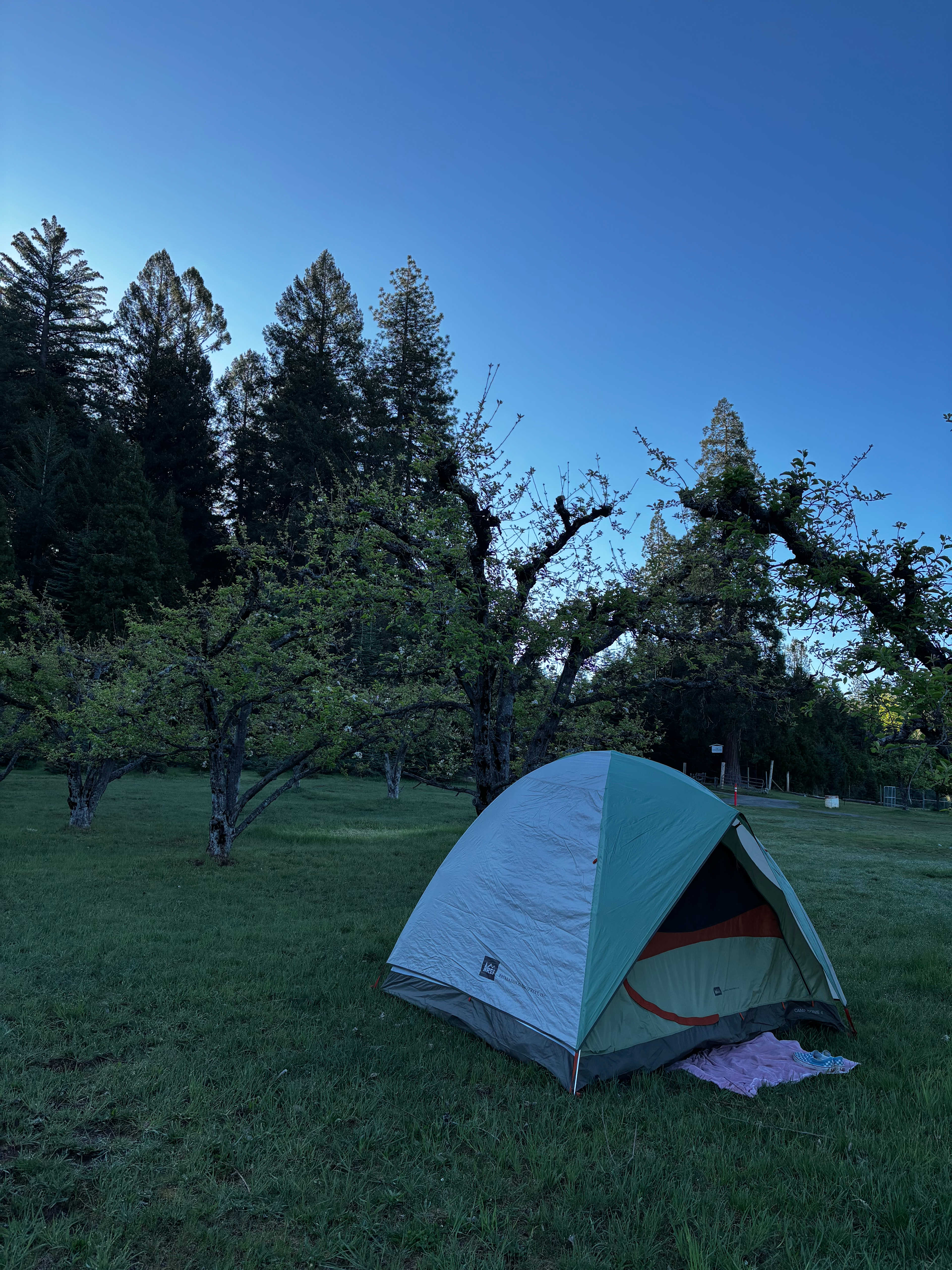 Harris Family Farm and Forest