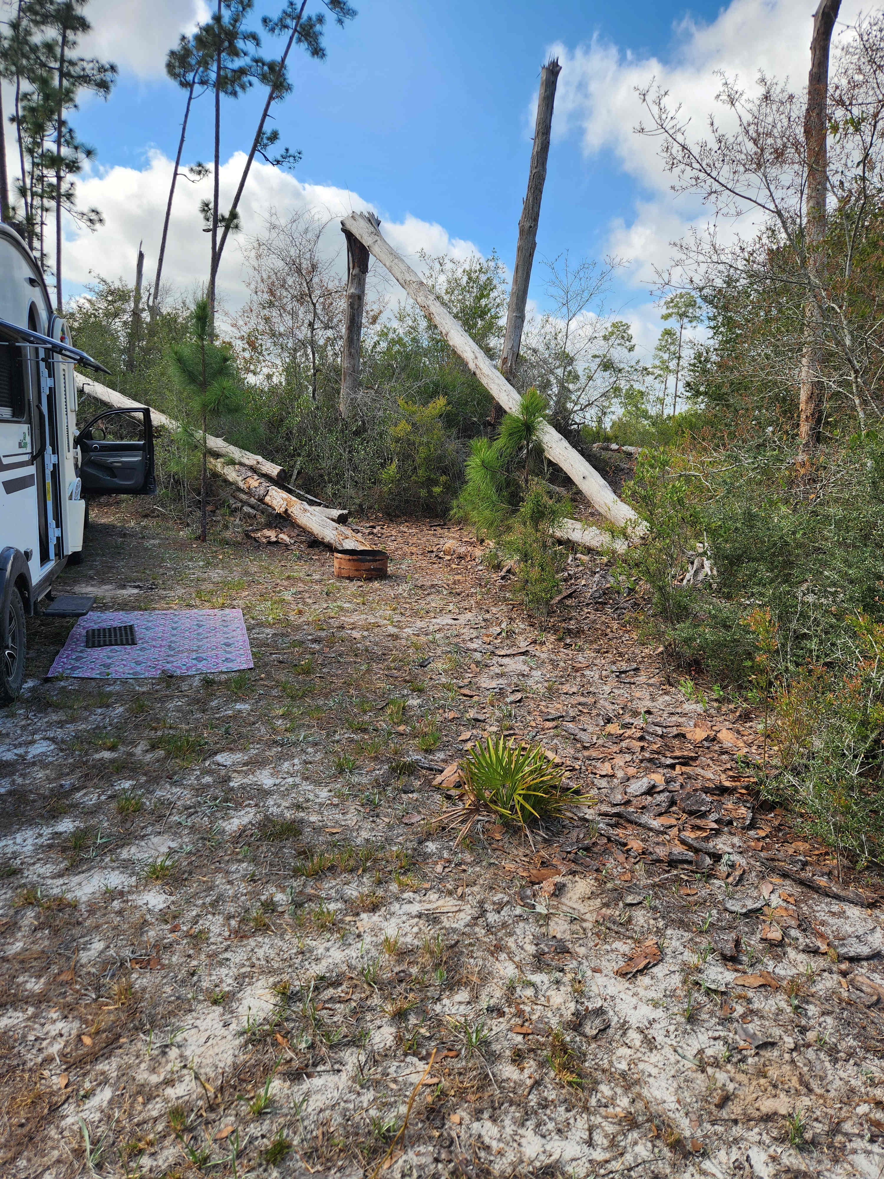 Picture of the site