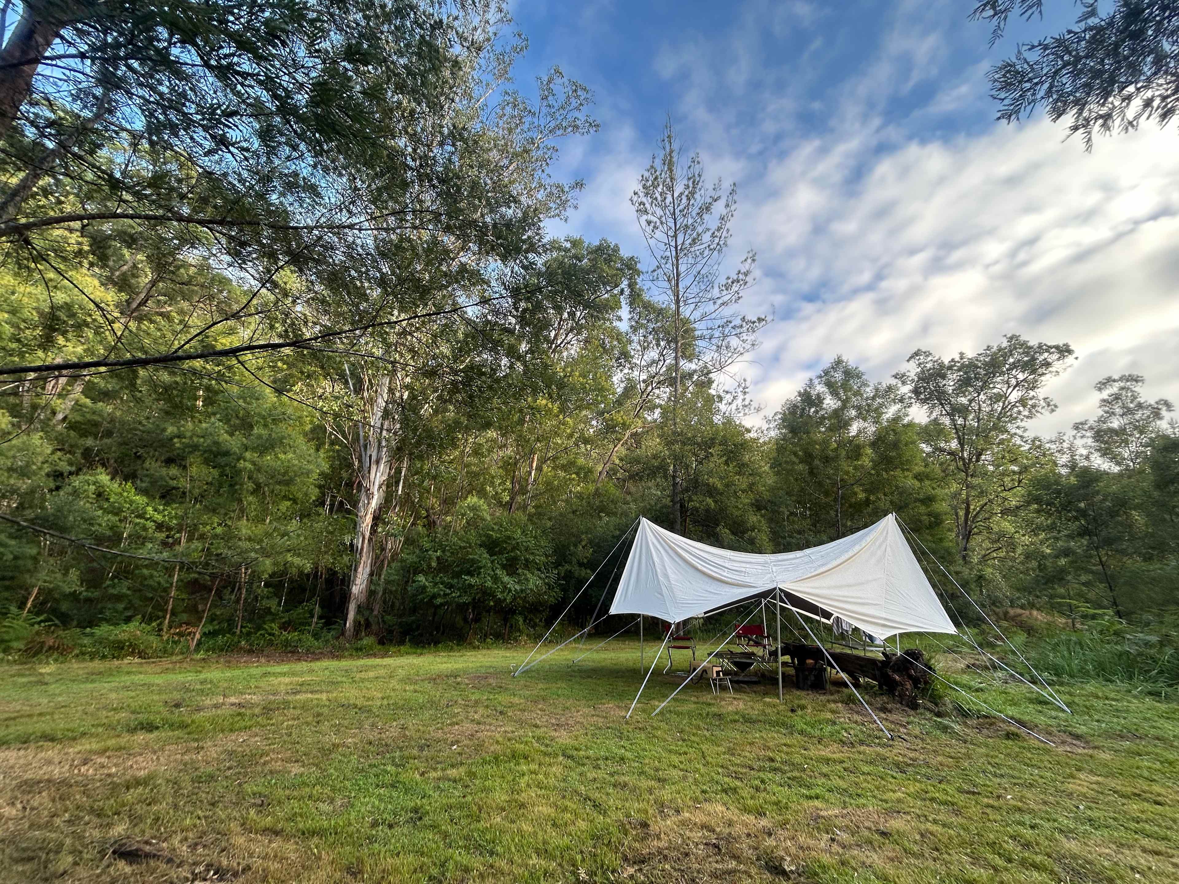 Tarp and Log