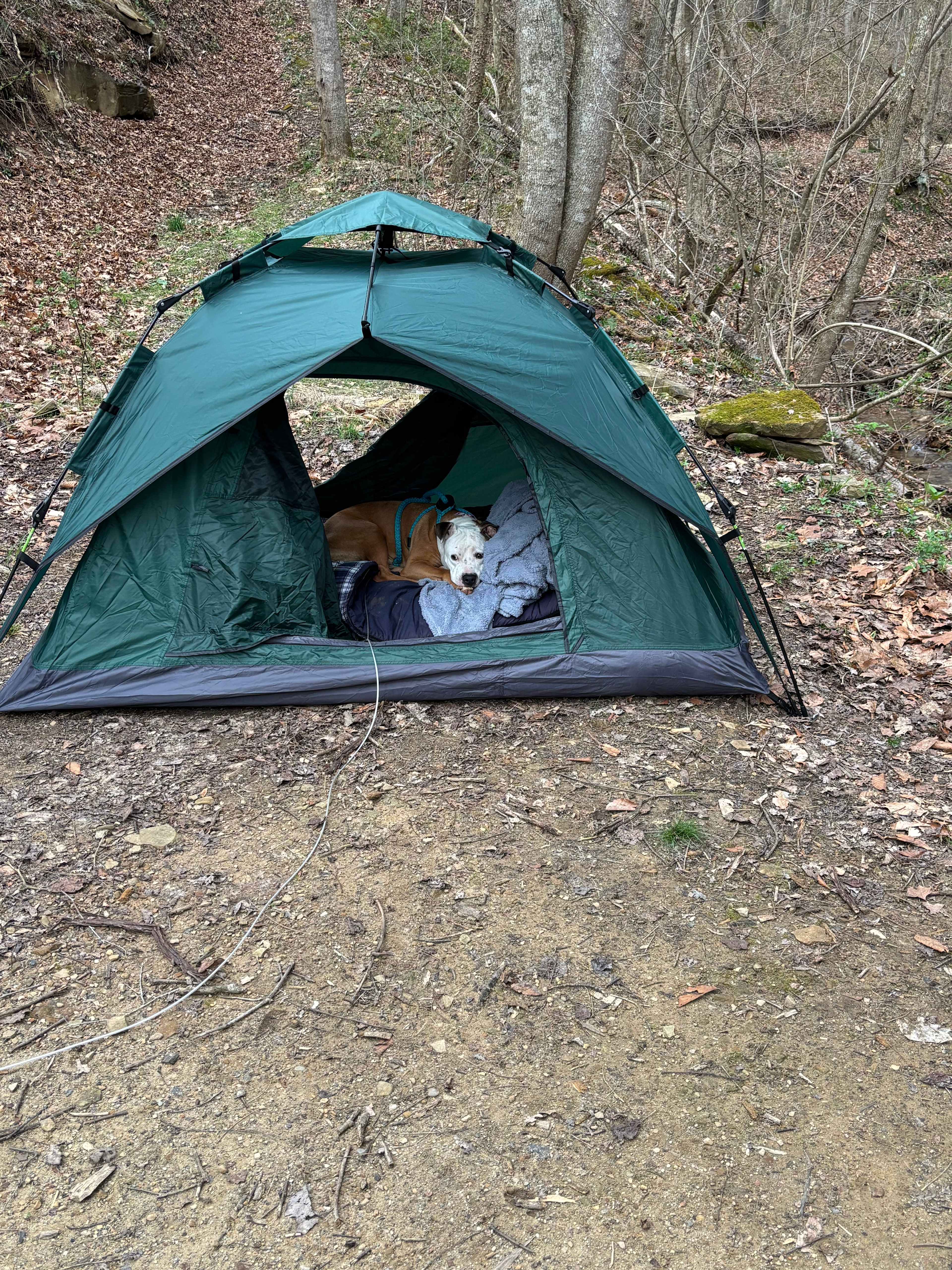 Yourway Camp