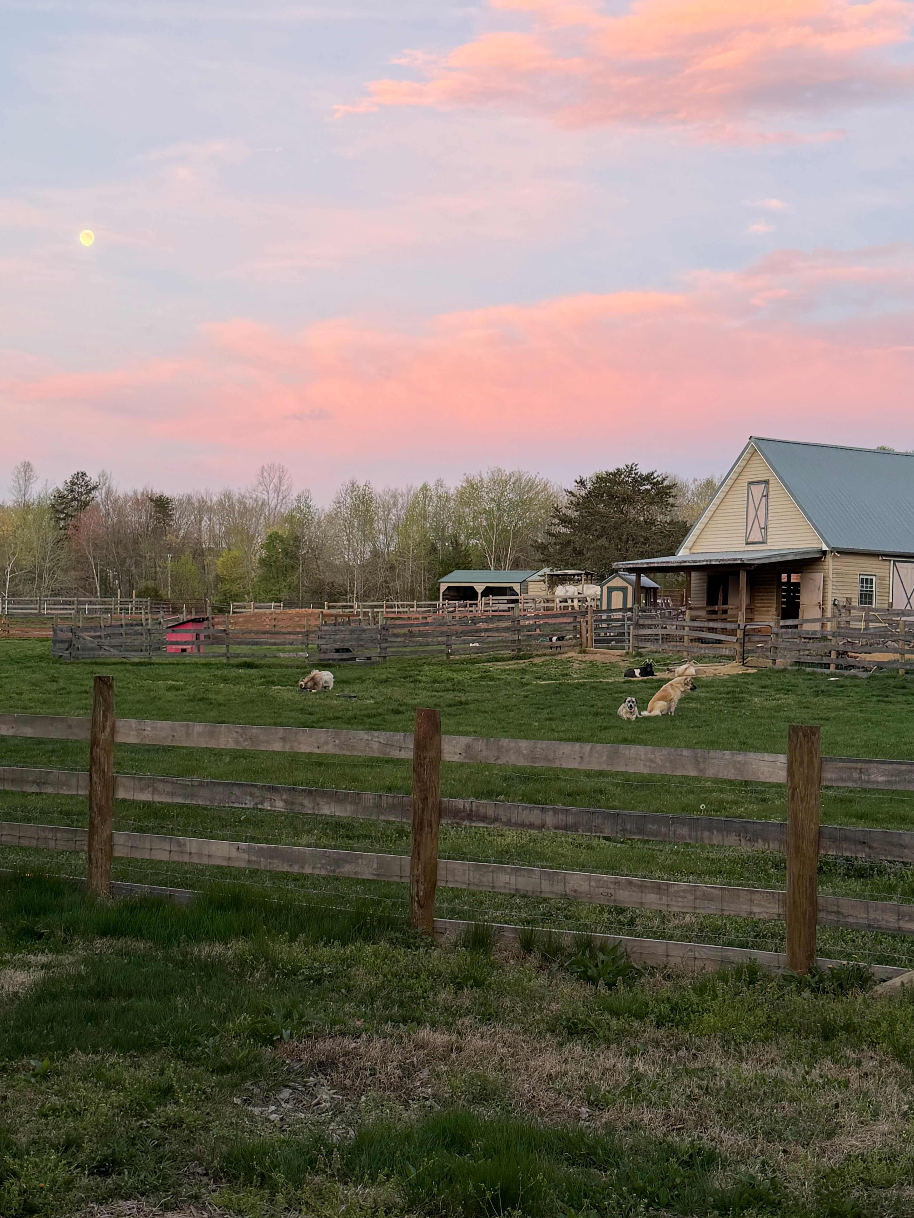 Cross Creek Farm