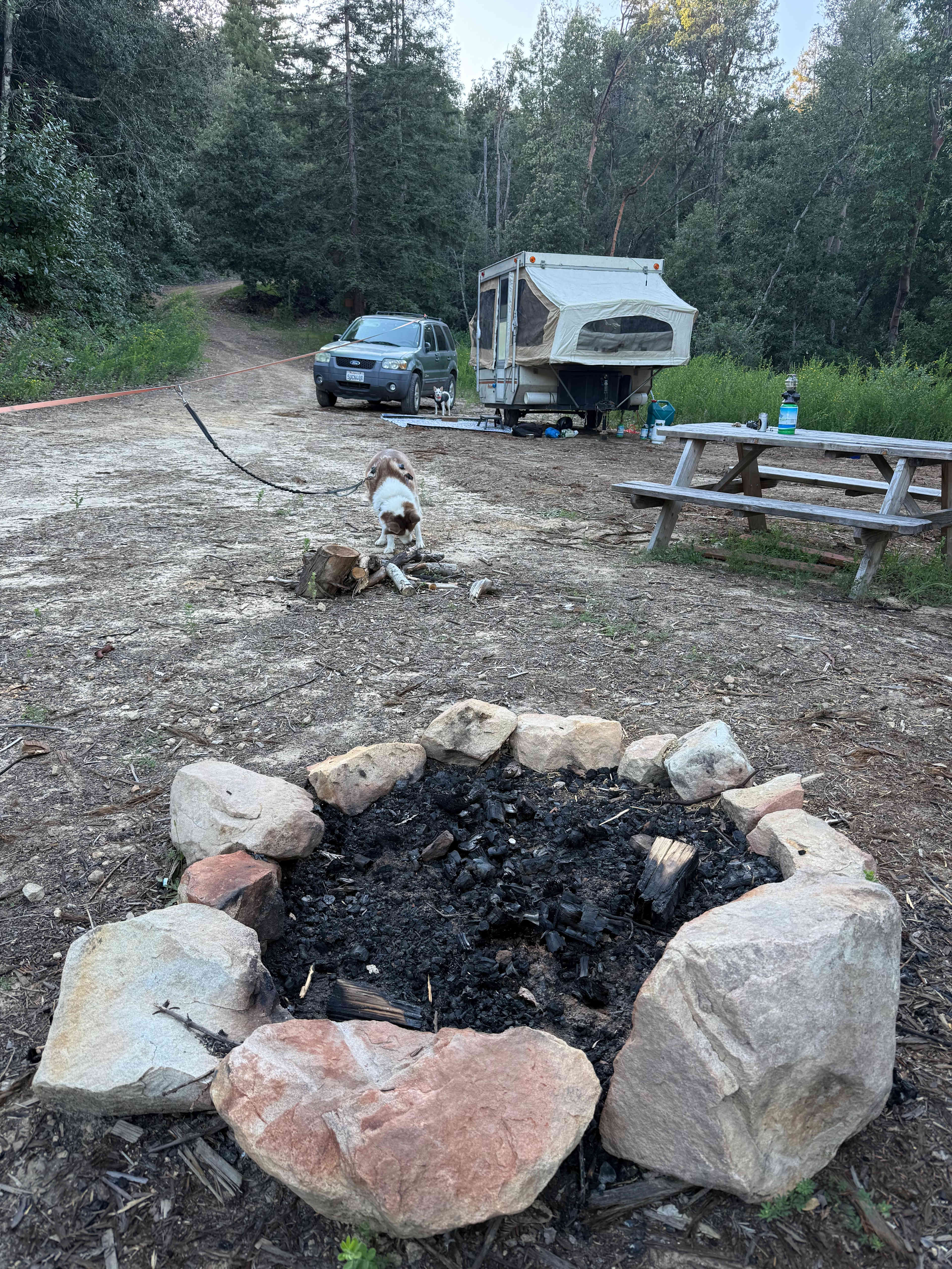 Picture of the site