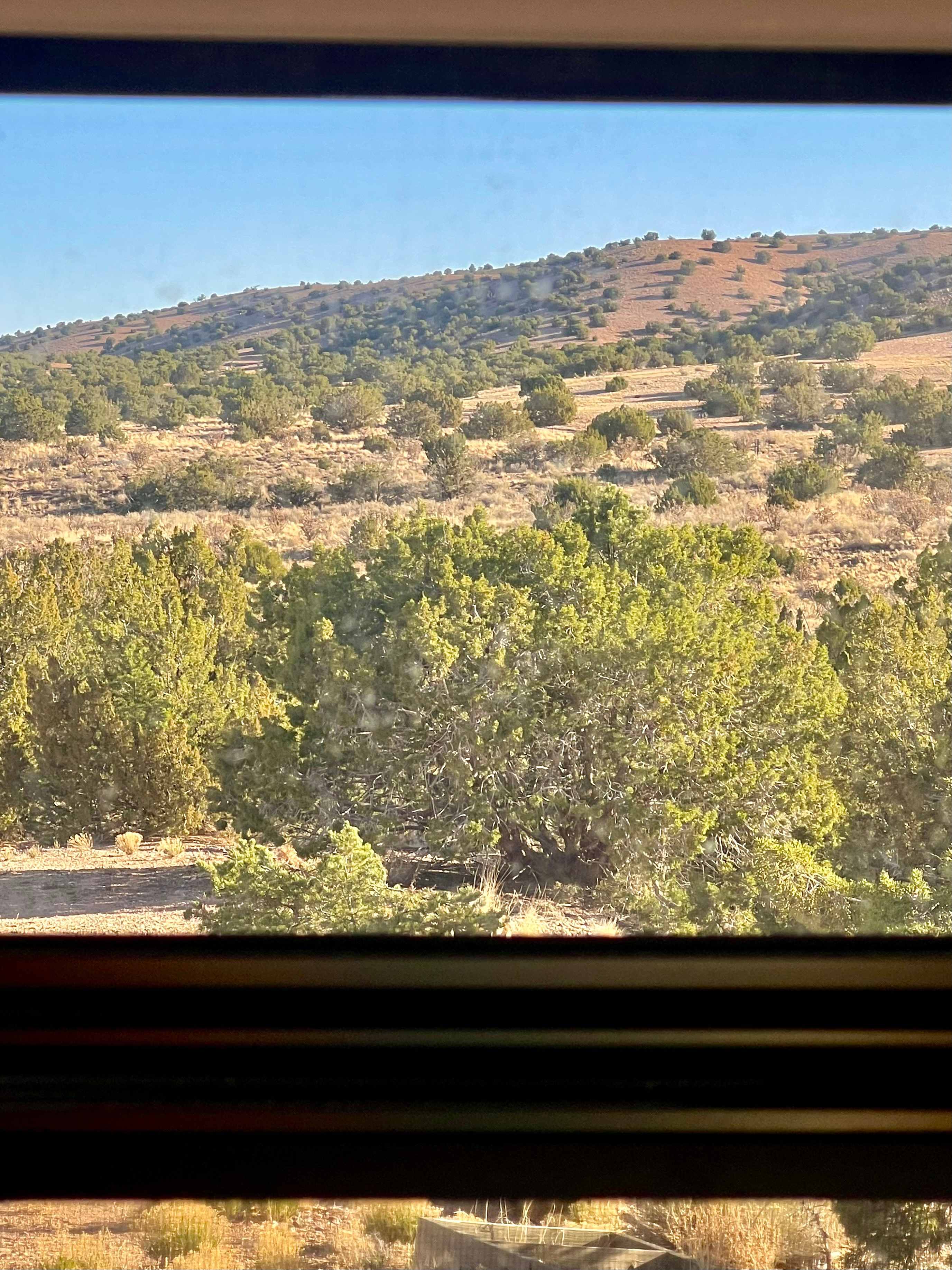 Tierra del RavenTree