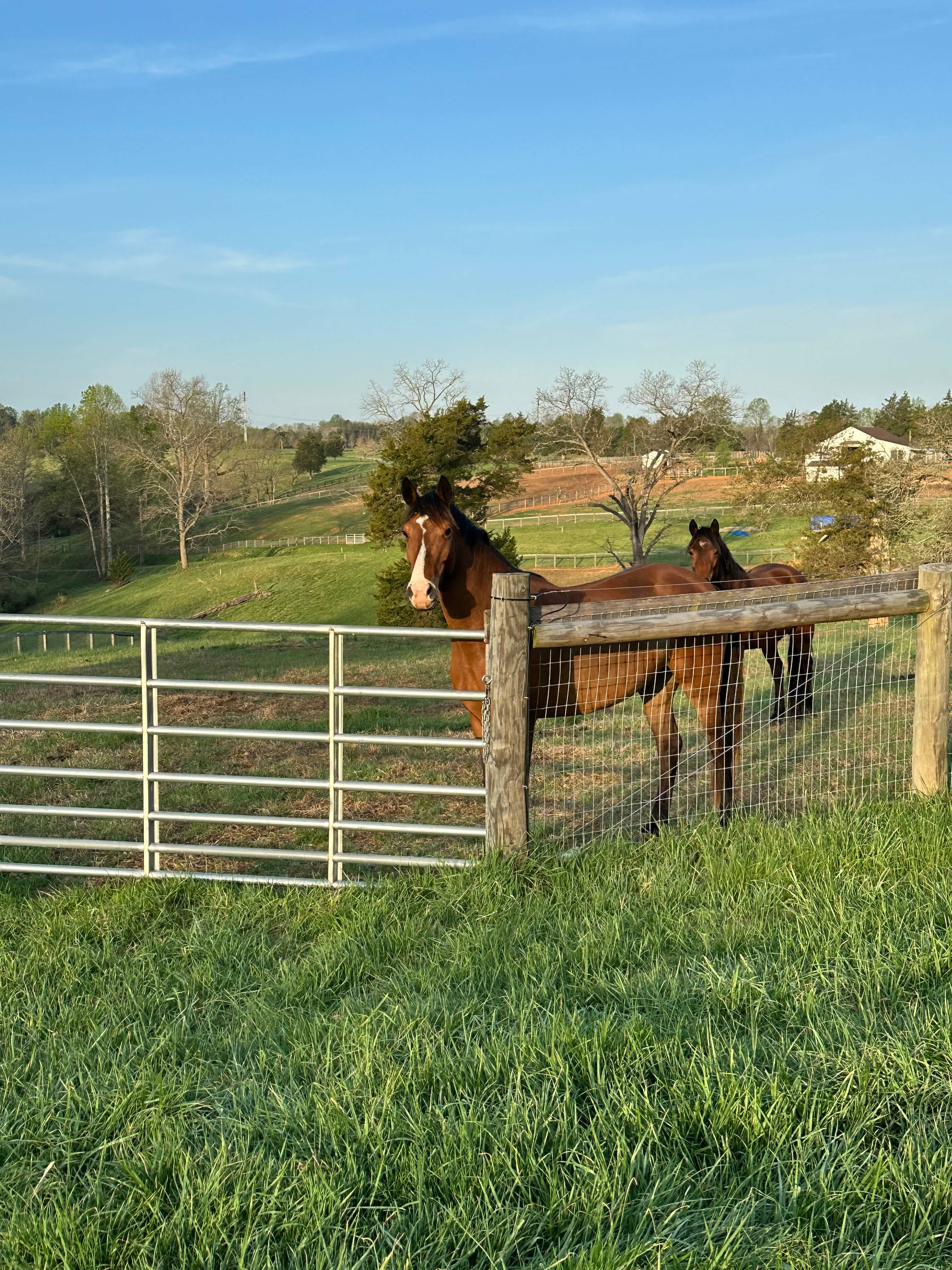 Private Farm Minutes to Cville