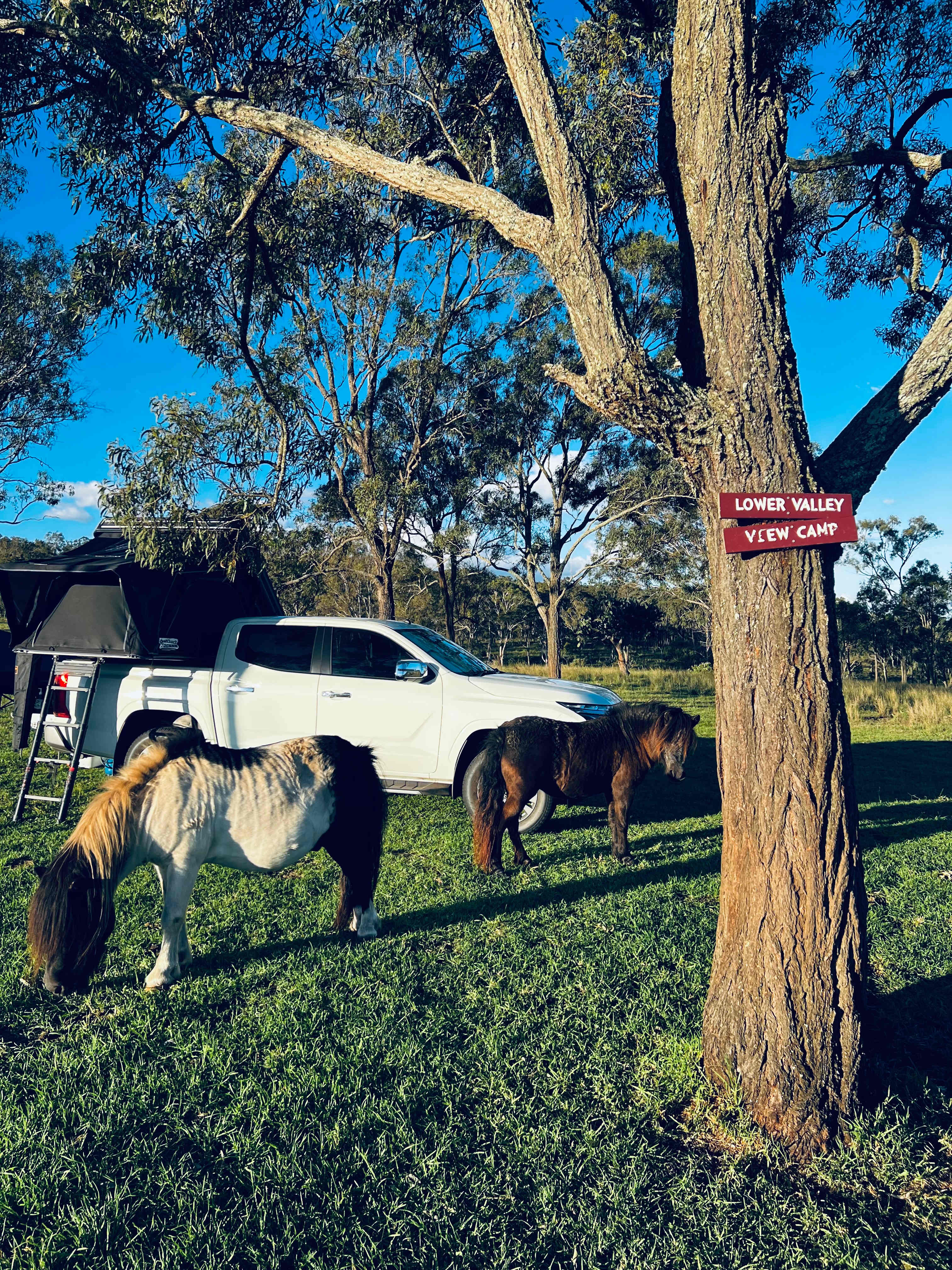 Tinara, 200 acre cattle farm 