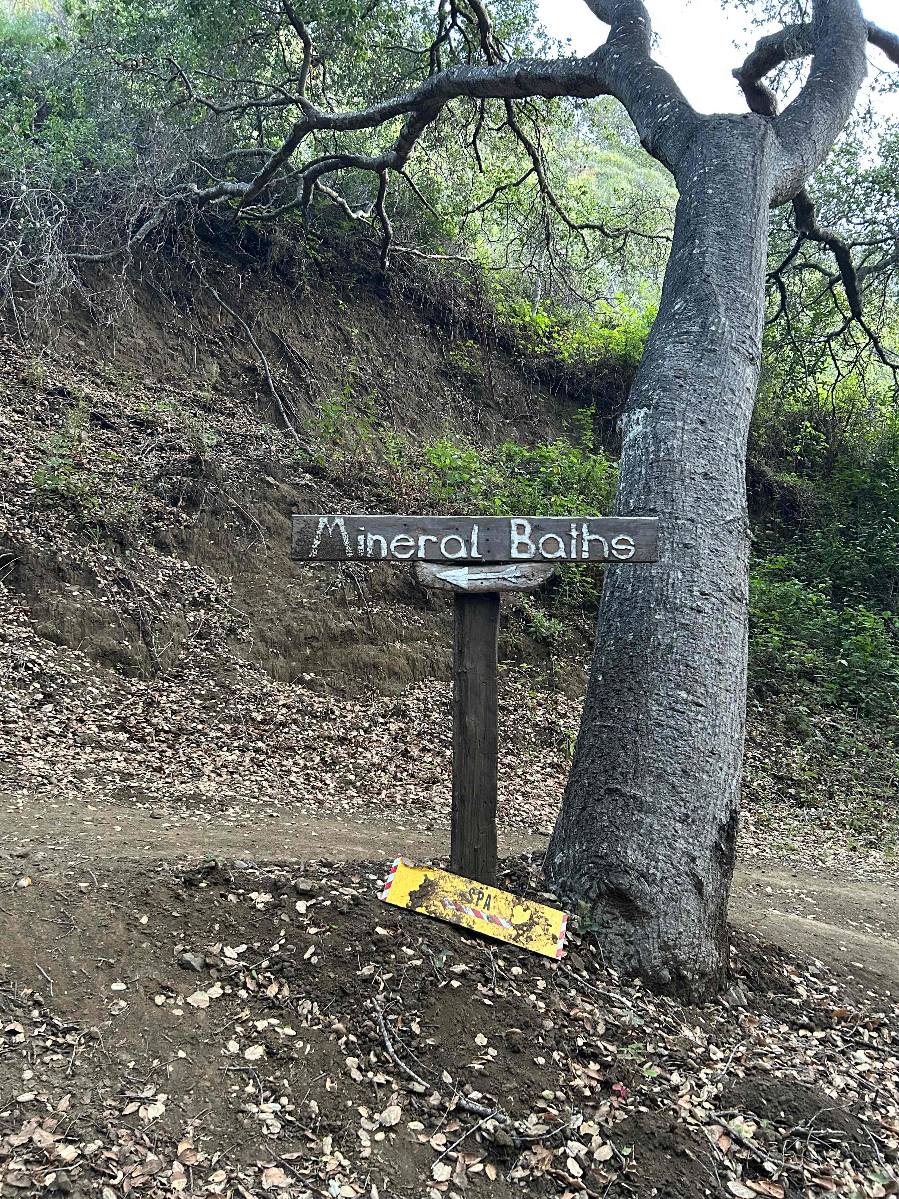 Creekside Camping and Mineral Baths