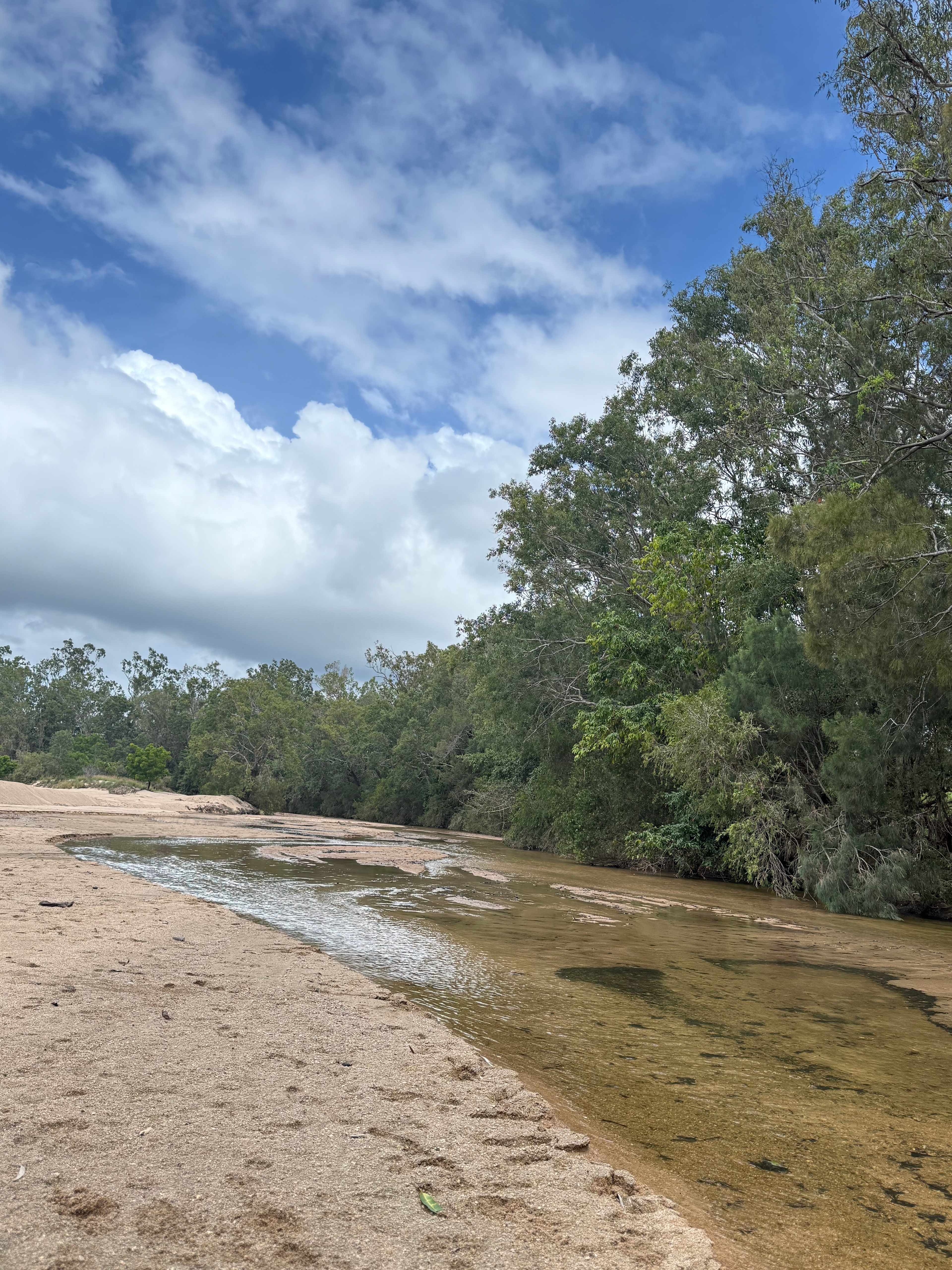 Normanby Rd Nature Bush Camp