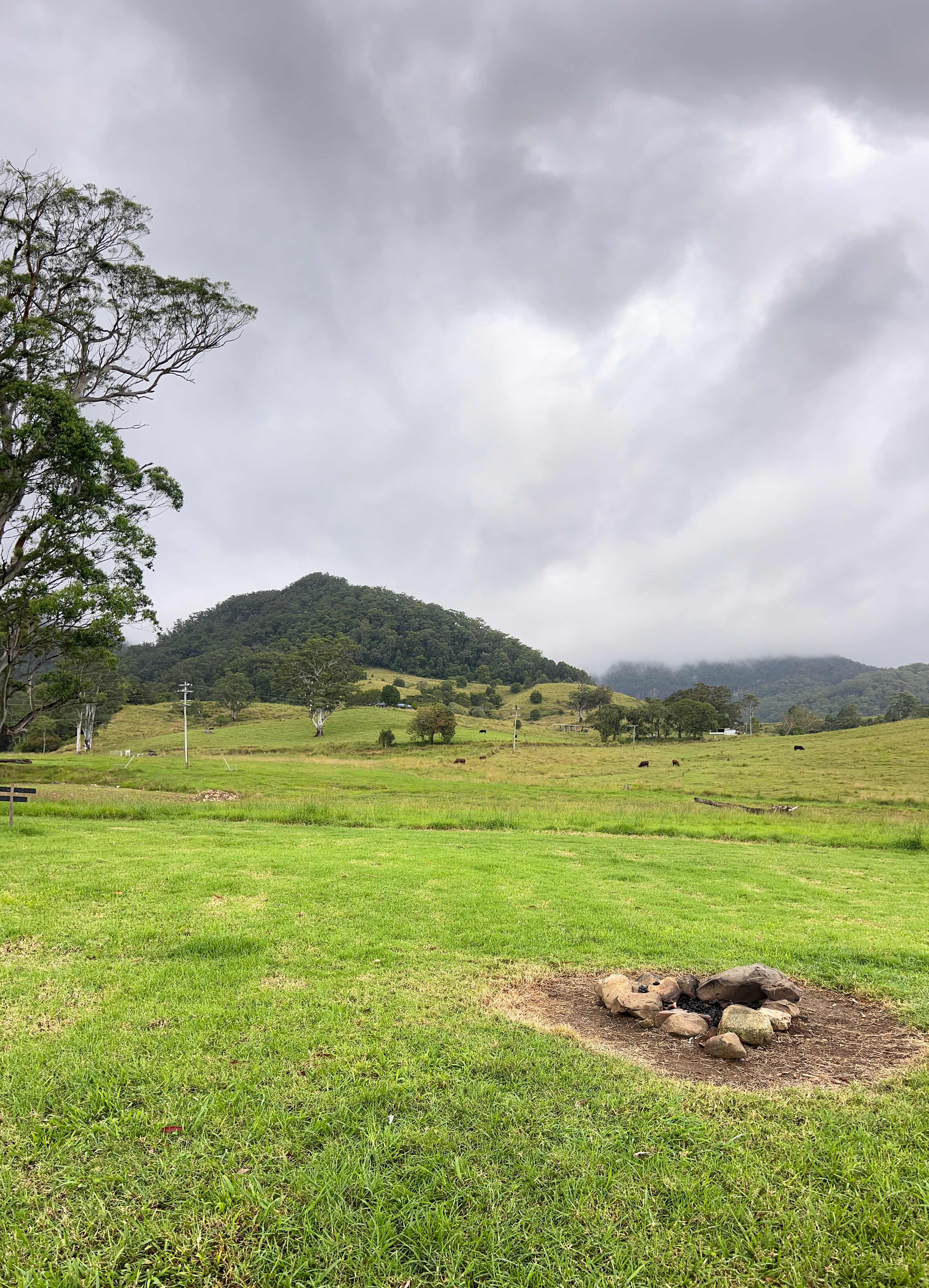 Tweed Valley - Doon Doon Farm