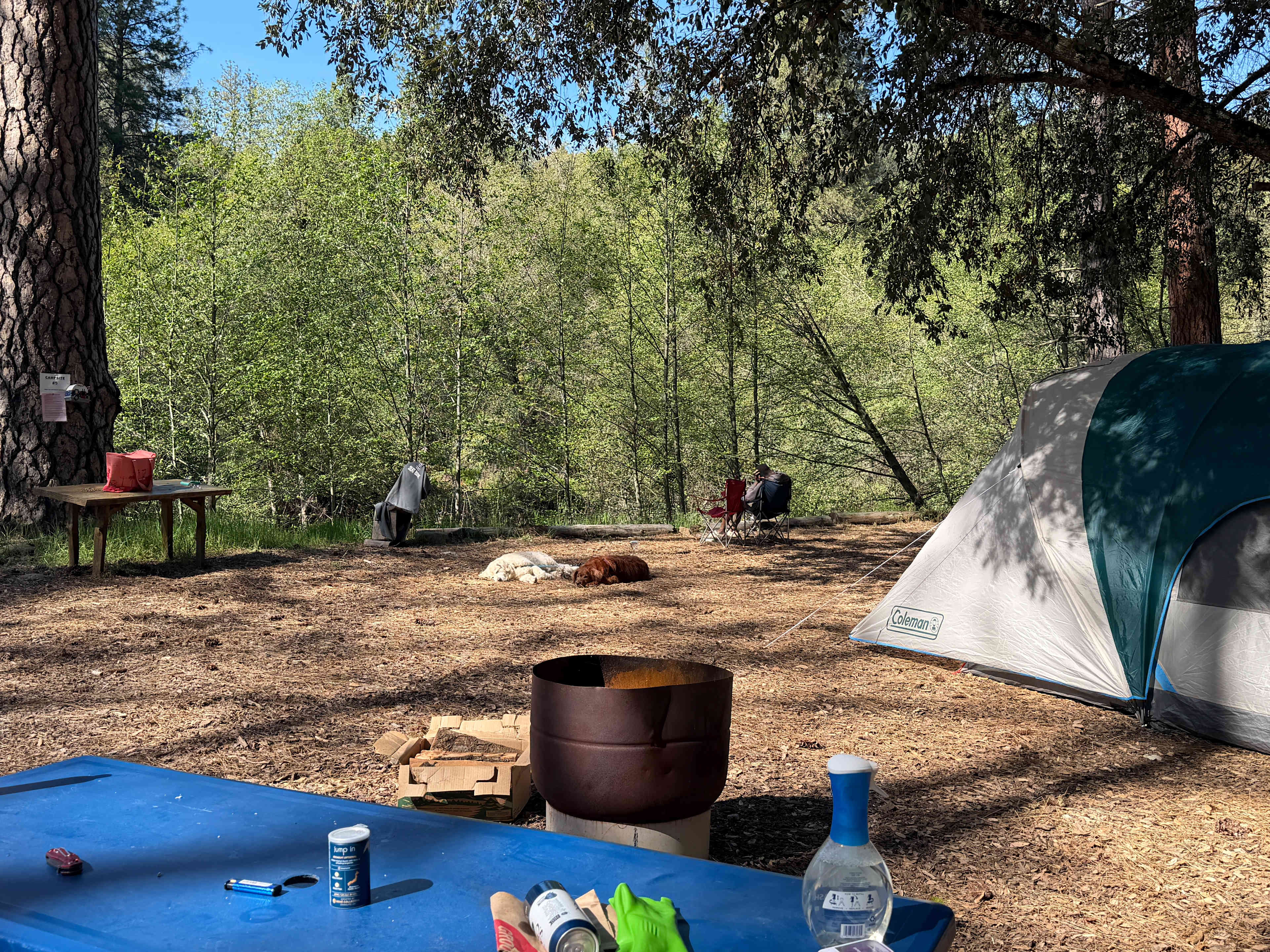 Cosumnes River Somerset Camp