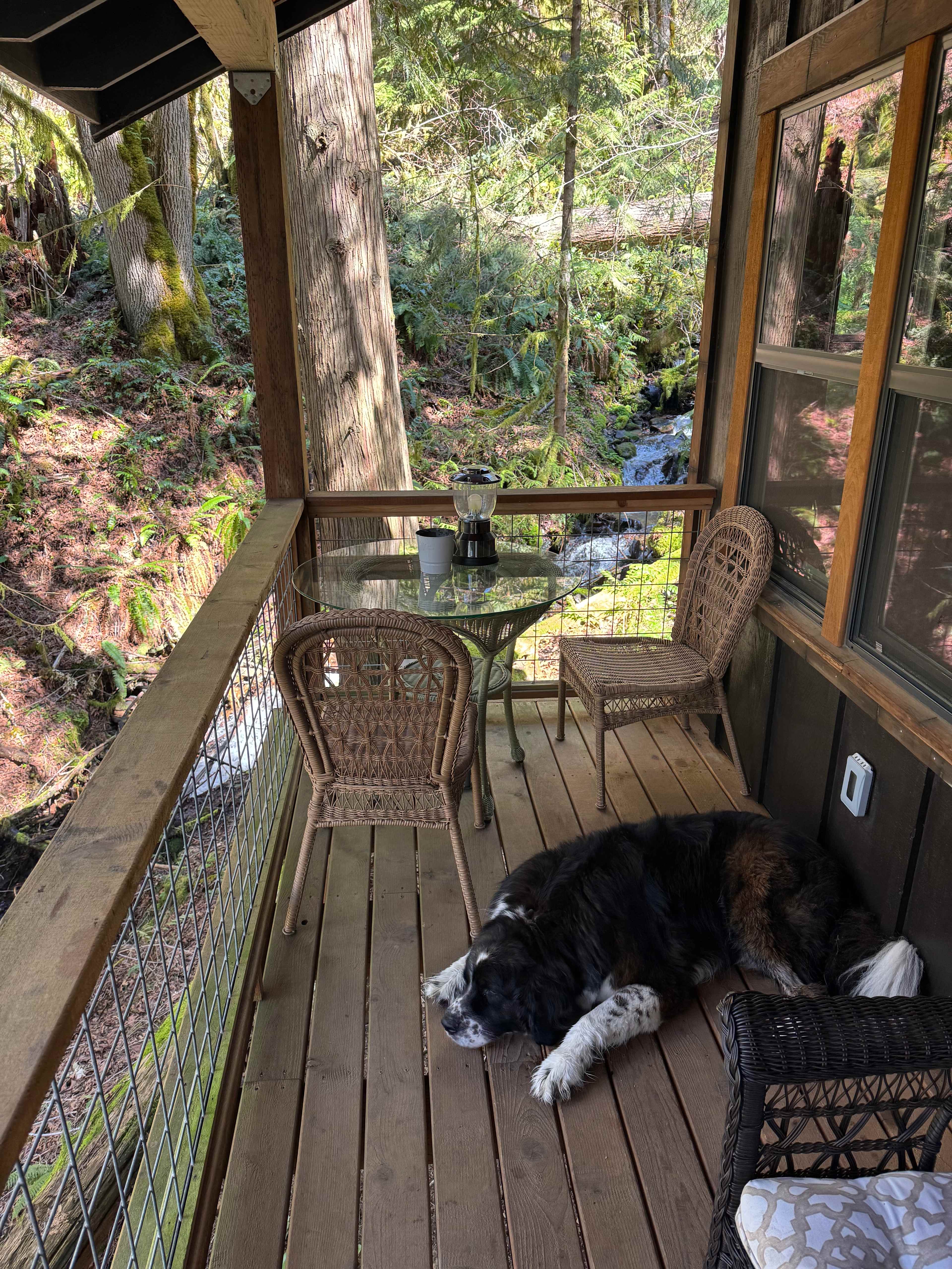 Crystal Creek Cabin