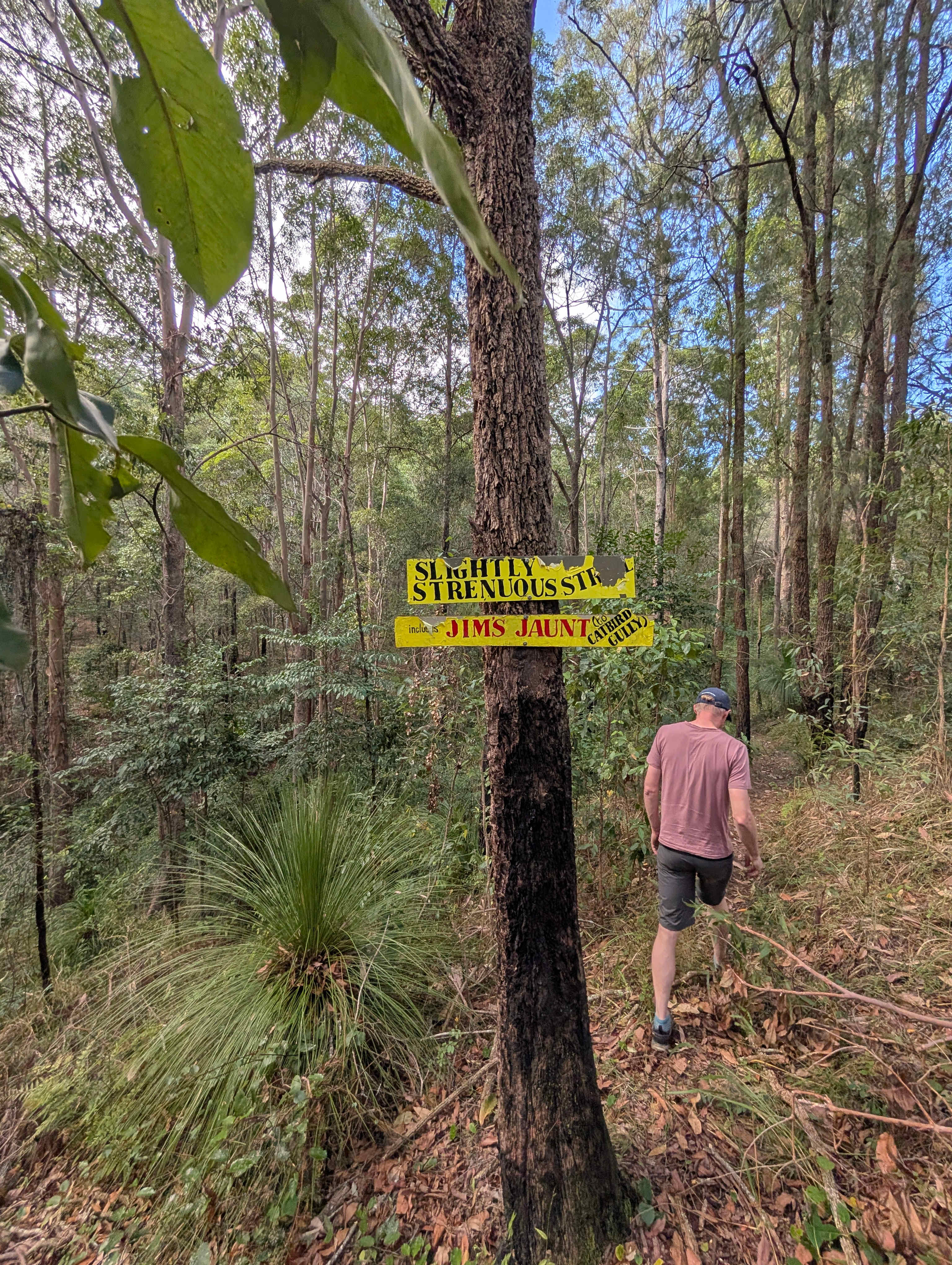 Walking trail