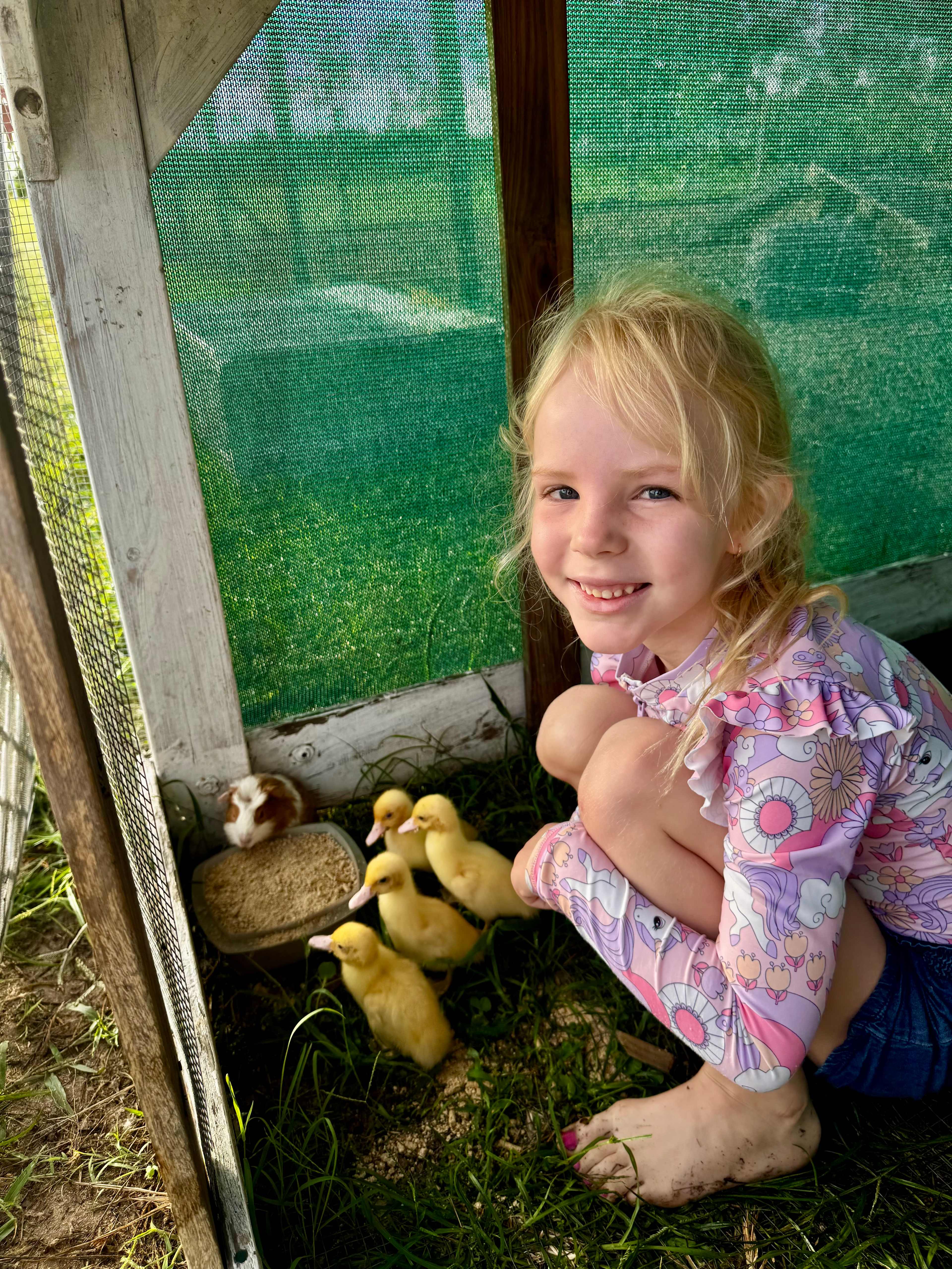 VietJess Farm