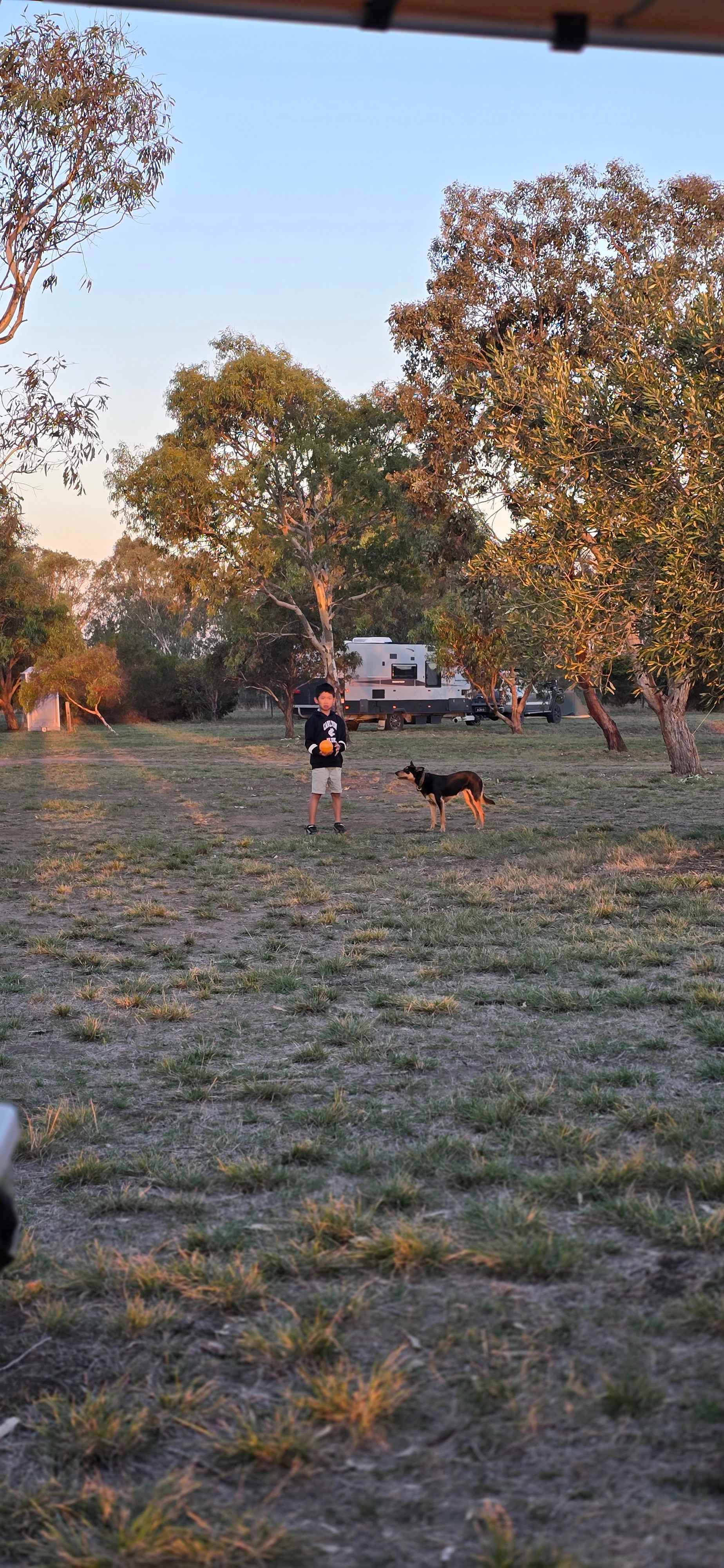 Reedy lakes farm stay
