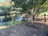 Camp By The Billabong