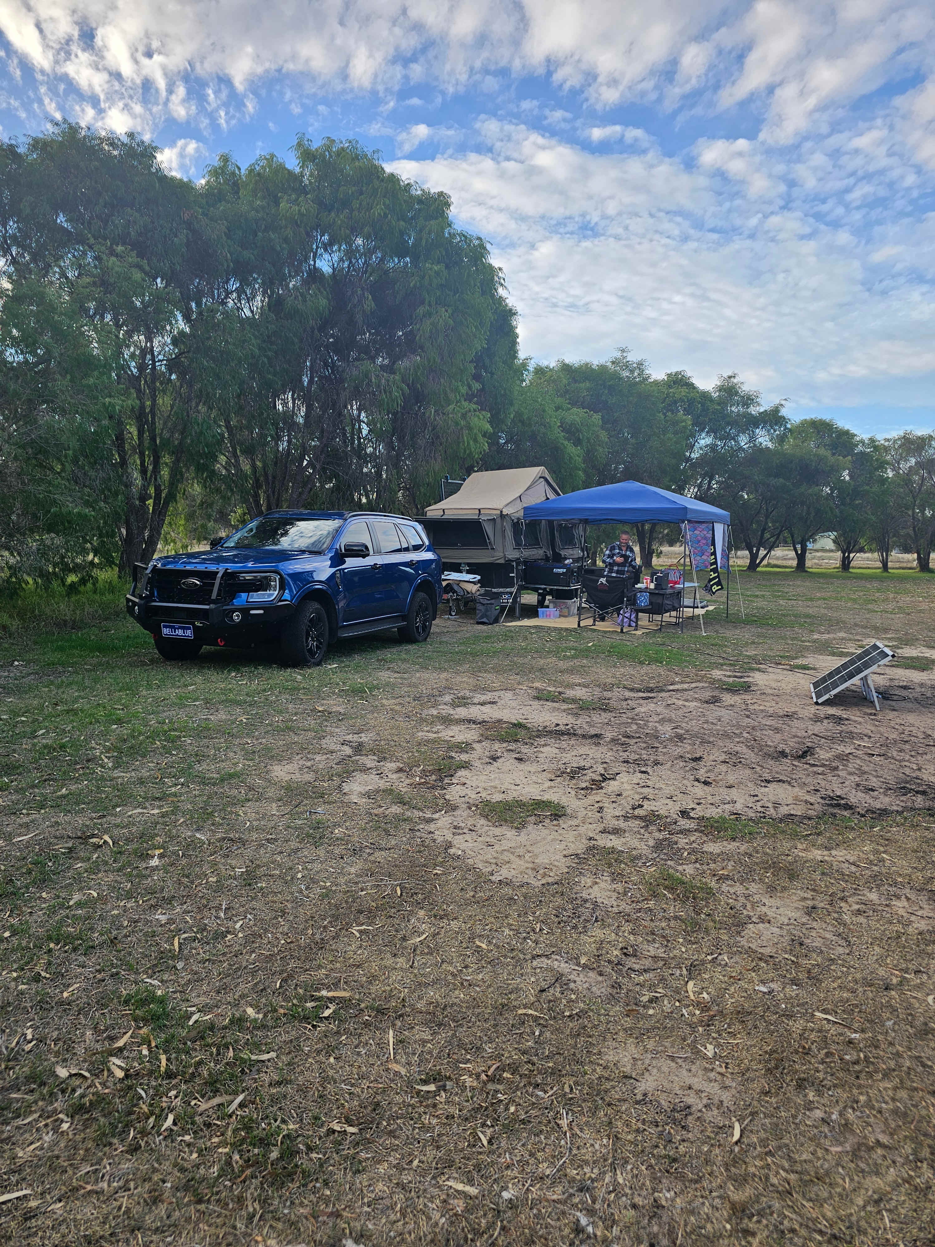 Peppie Tree Drive