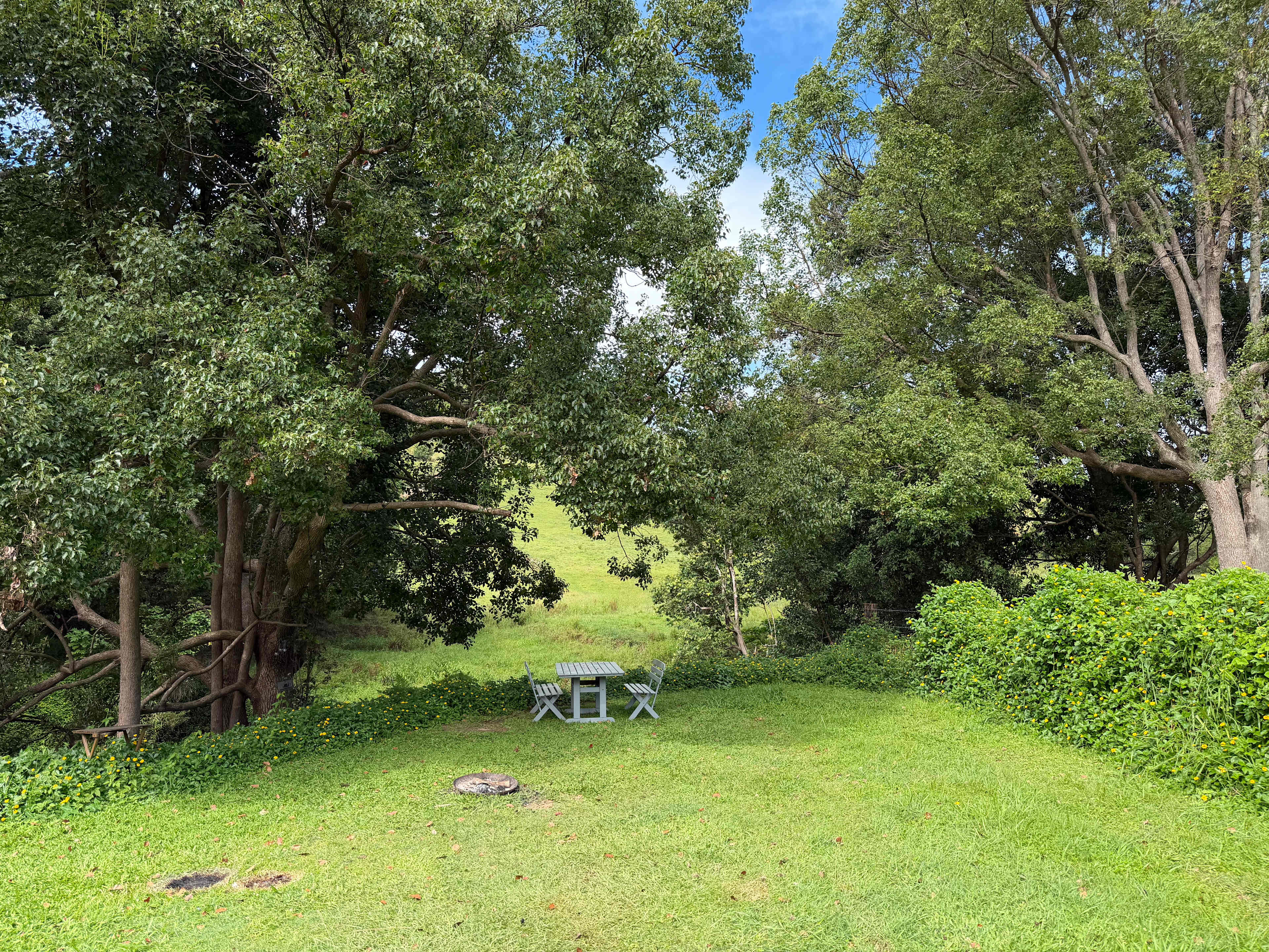 The campsite before we set up.