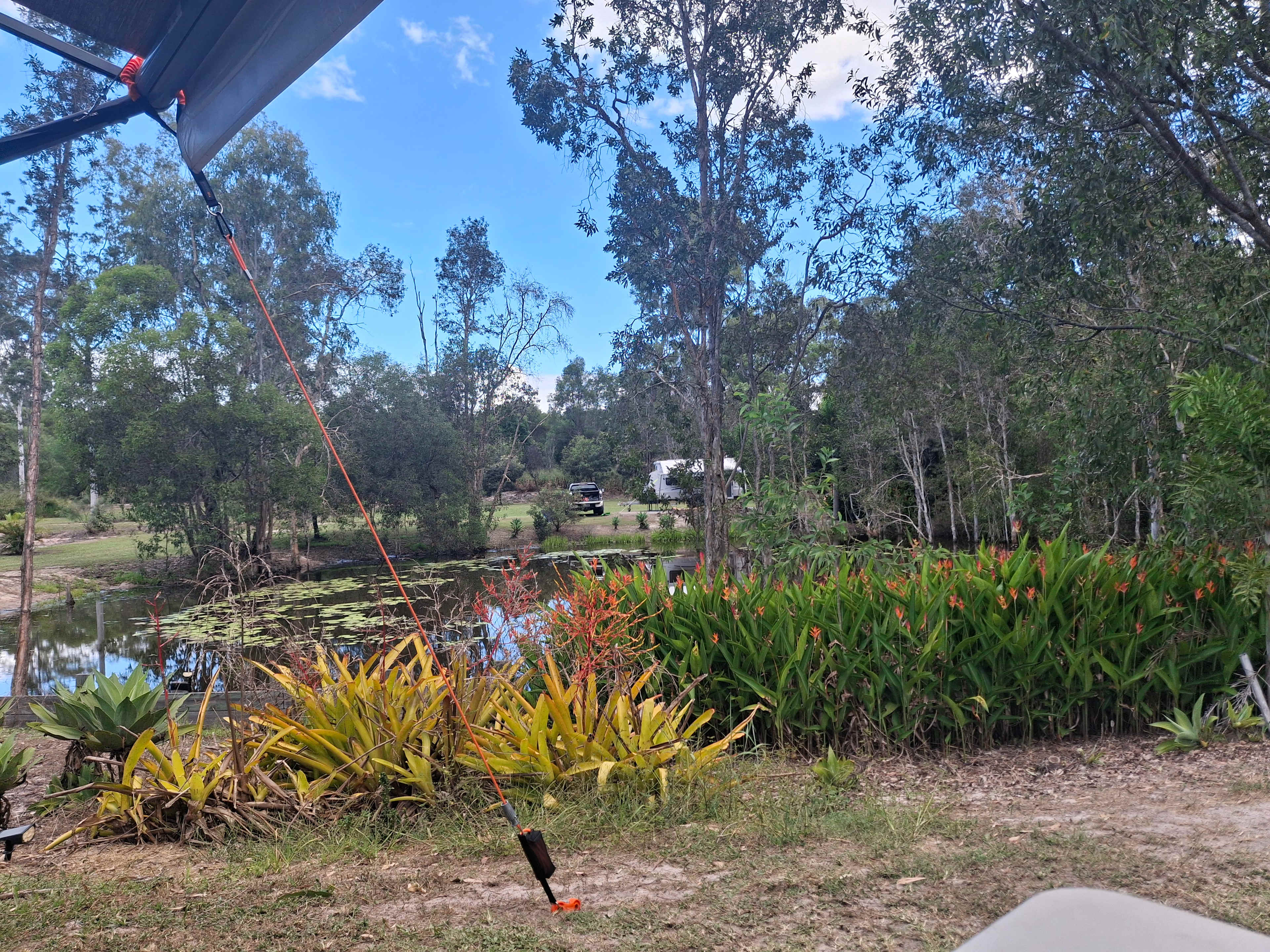 Collie Farm
