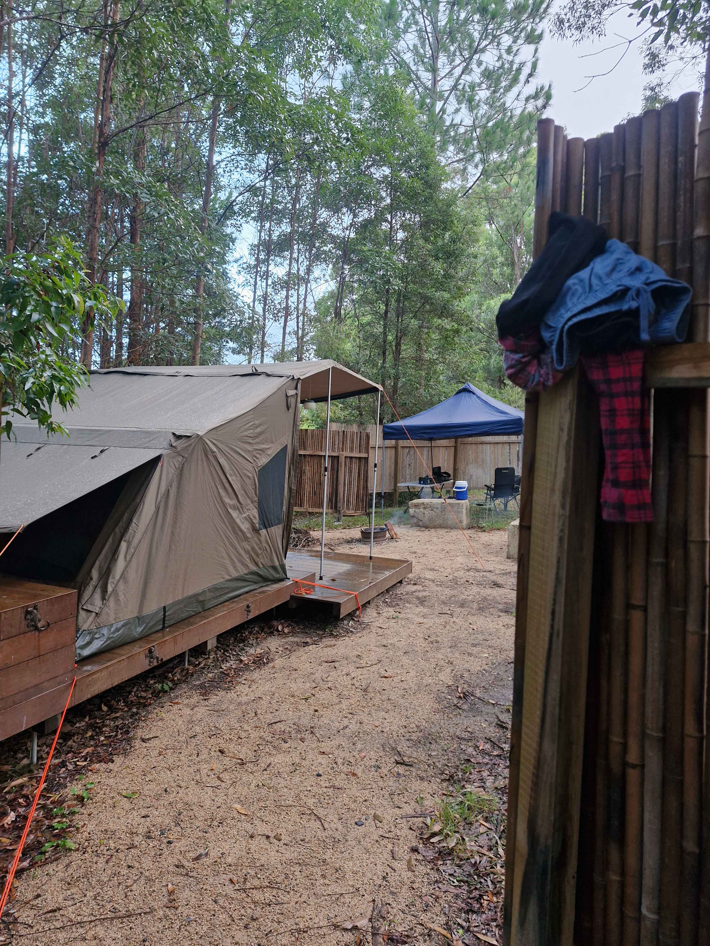 View from bush shower 