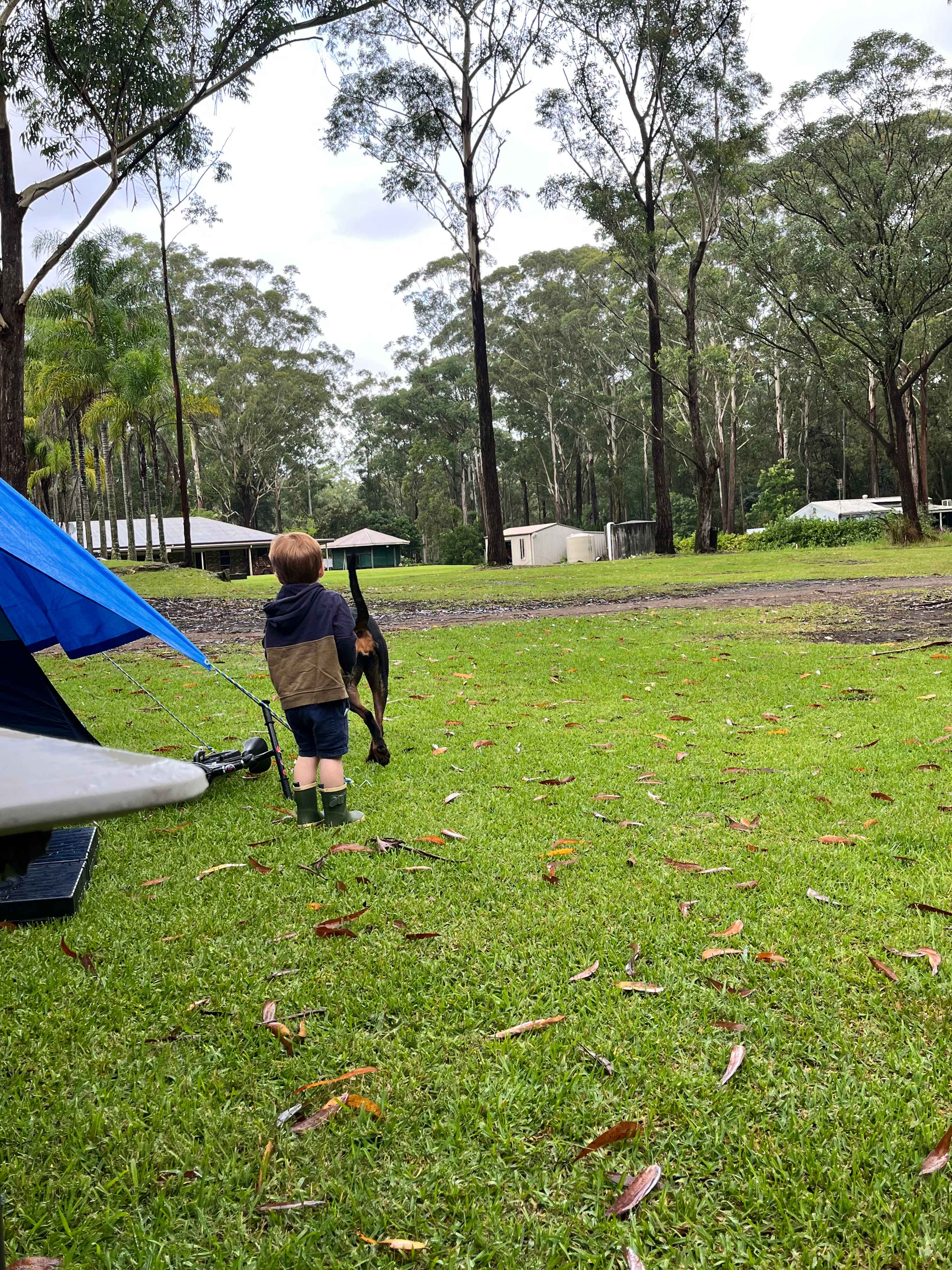 Mistinthegumtrees BUDGET 2 GLAMPING