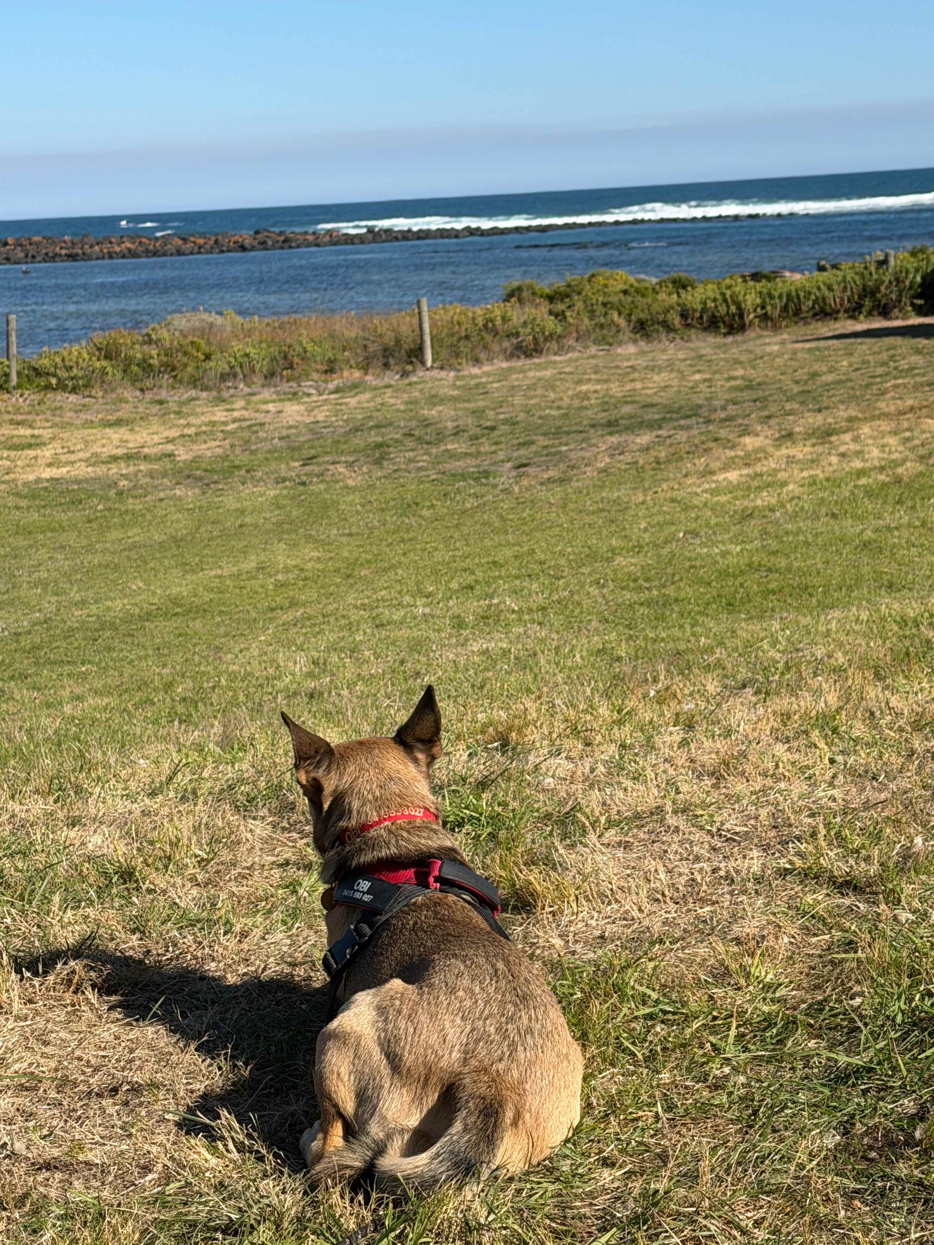 Comely Banks Ocean veiw
