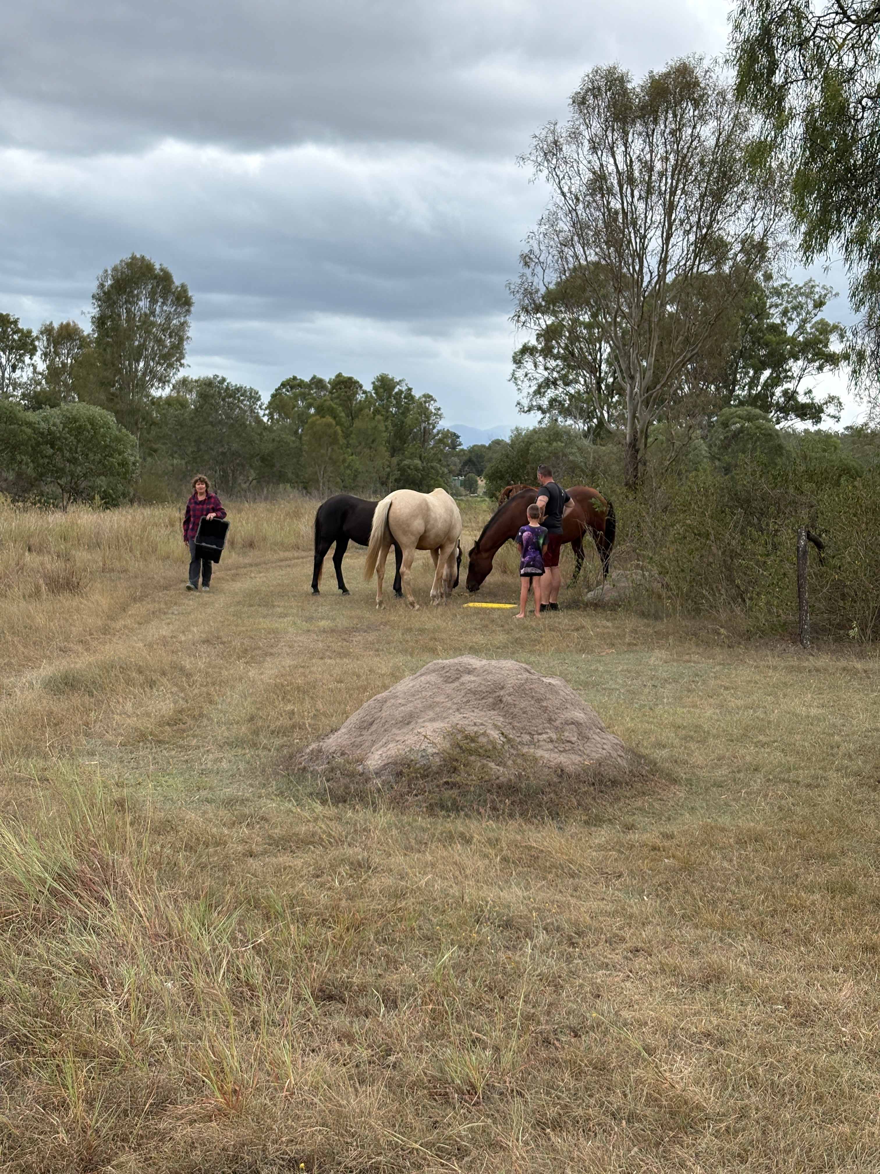 Lowood Nature Camp