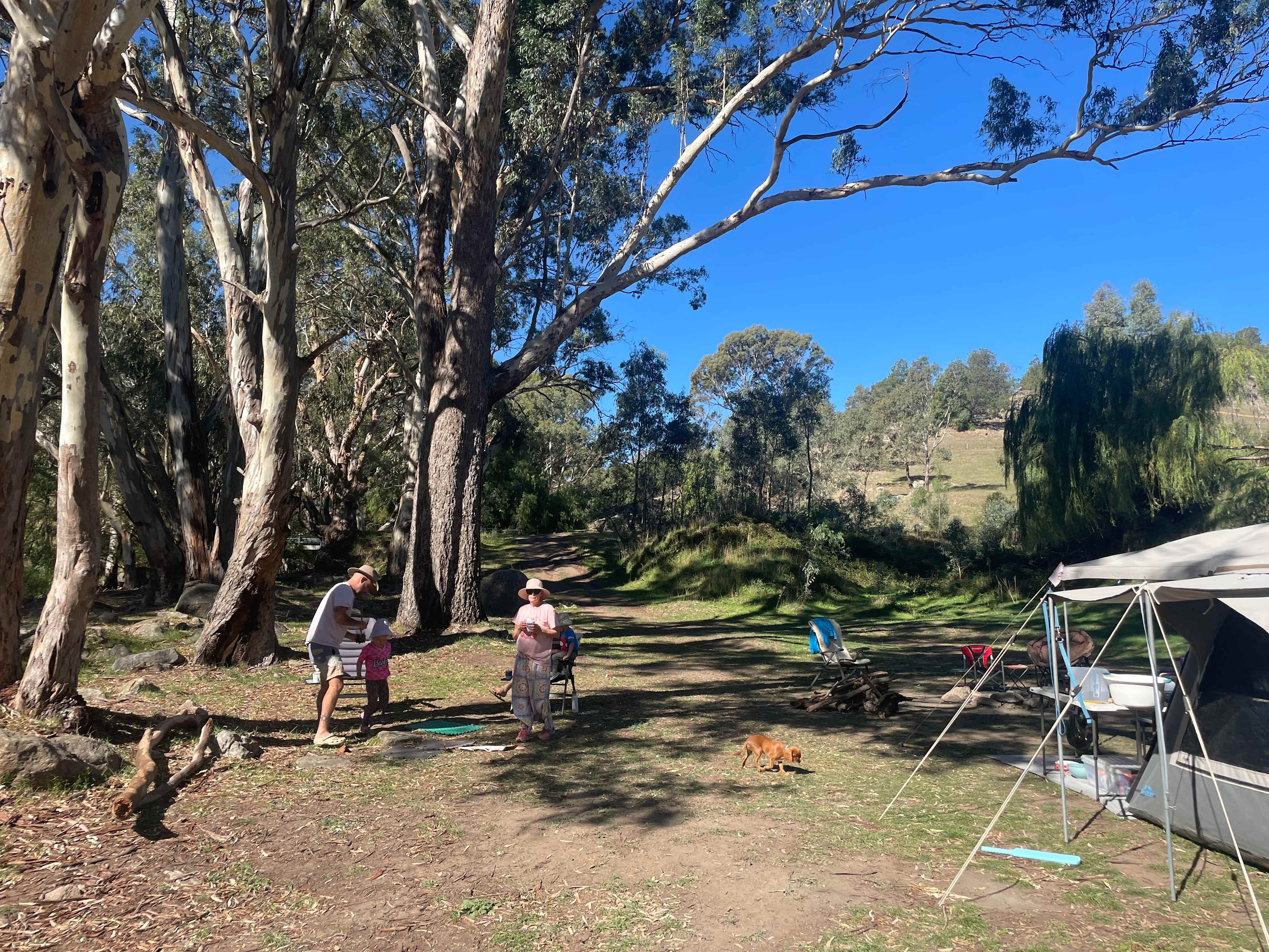 Glenmaye Farm – Creekside Camping
