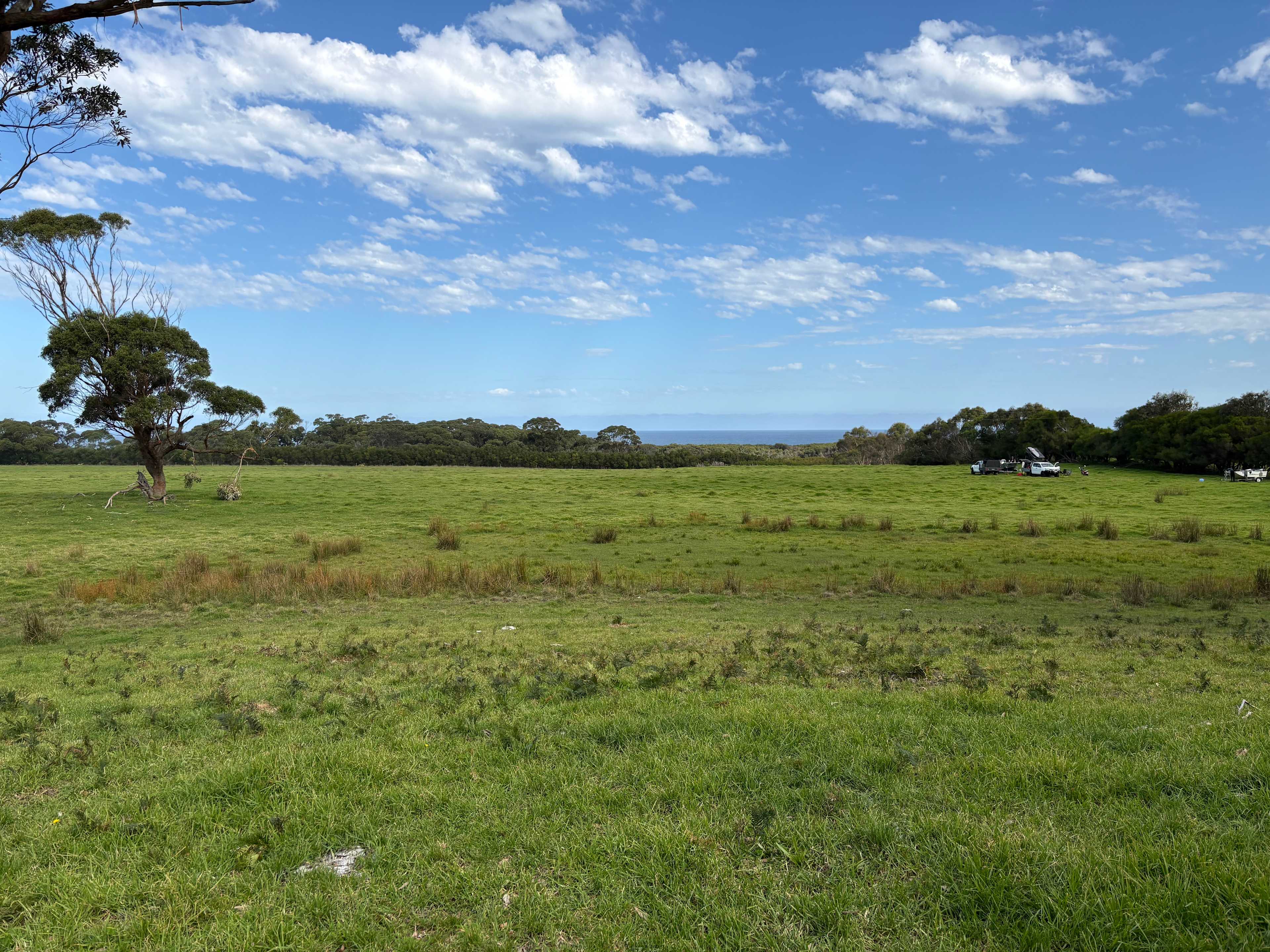 Ridge Park Cape Conran