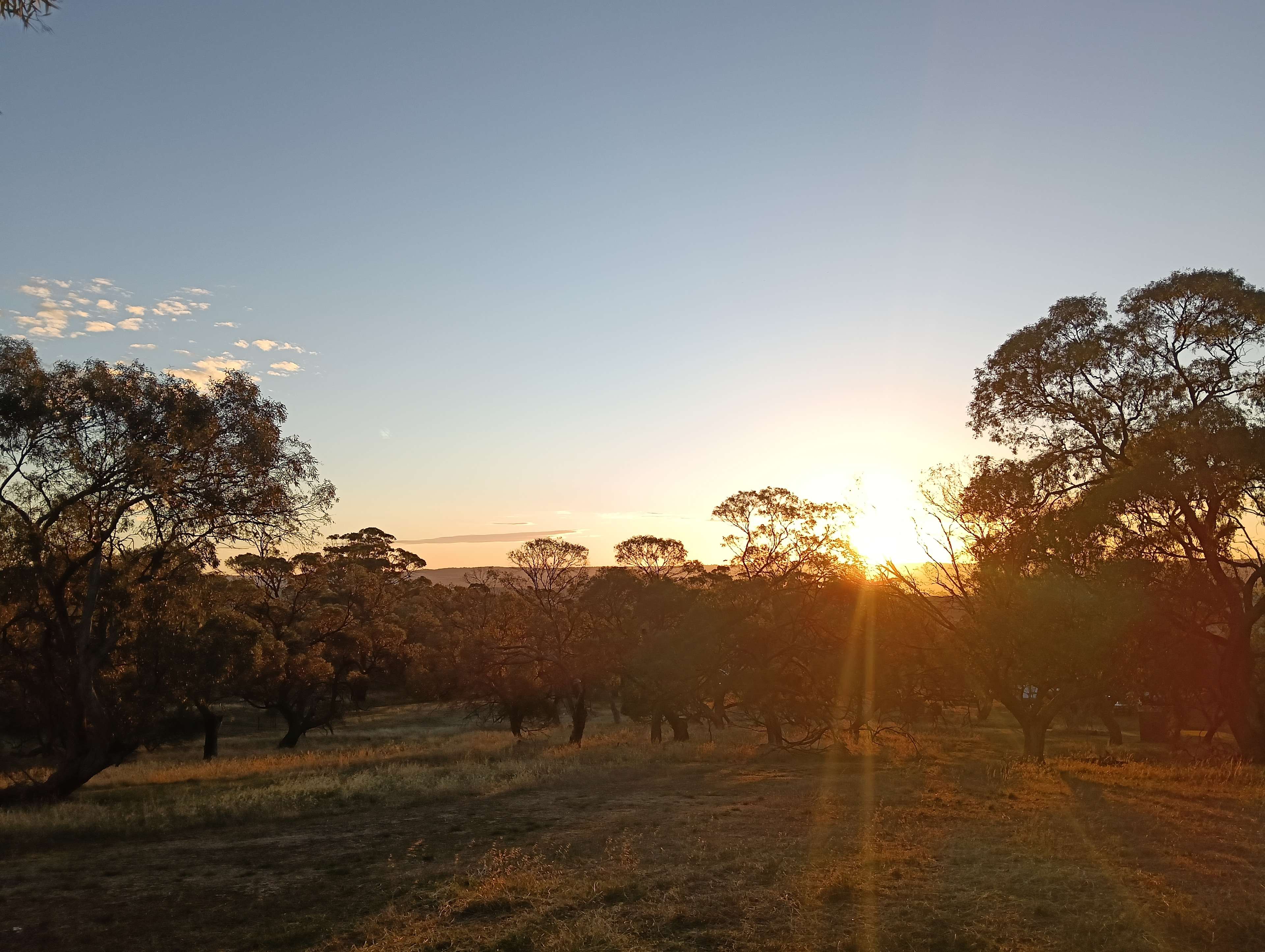 Tarlee - Serenity