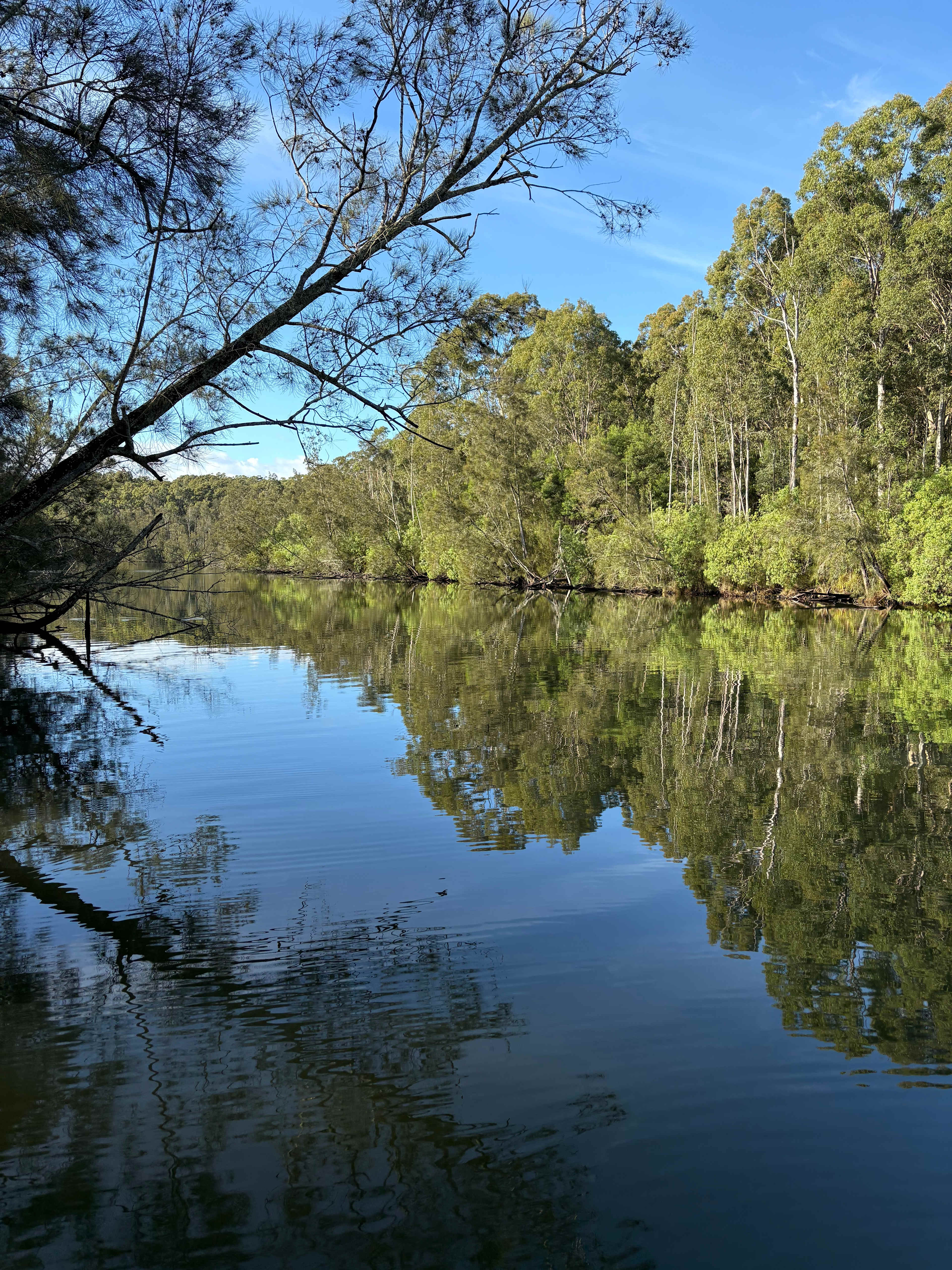 Babbling Brook 4WD Camping