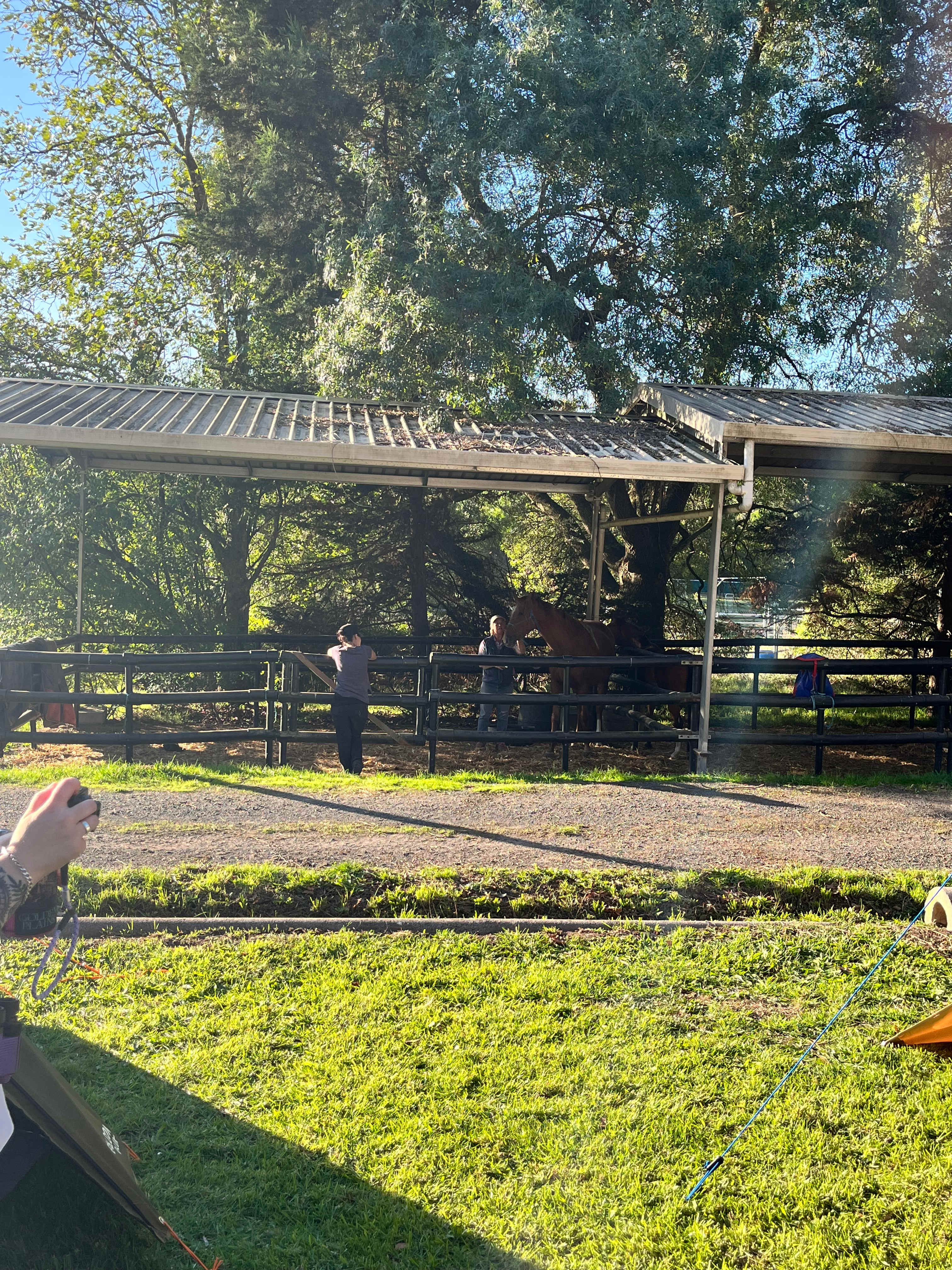 Kiernan Park Equestrian Centre