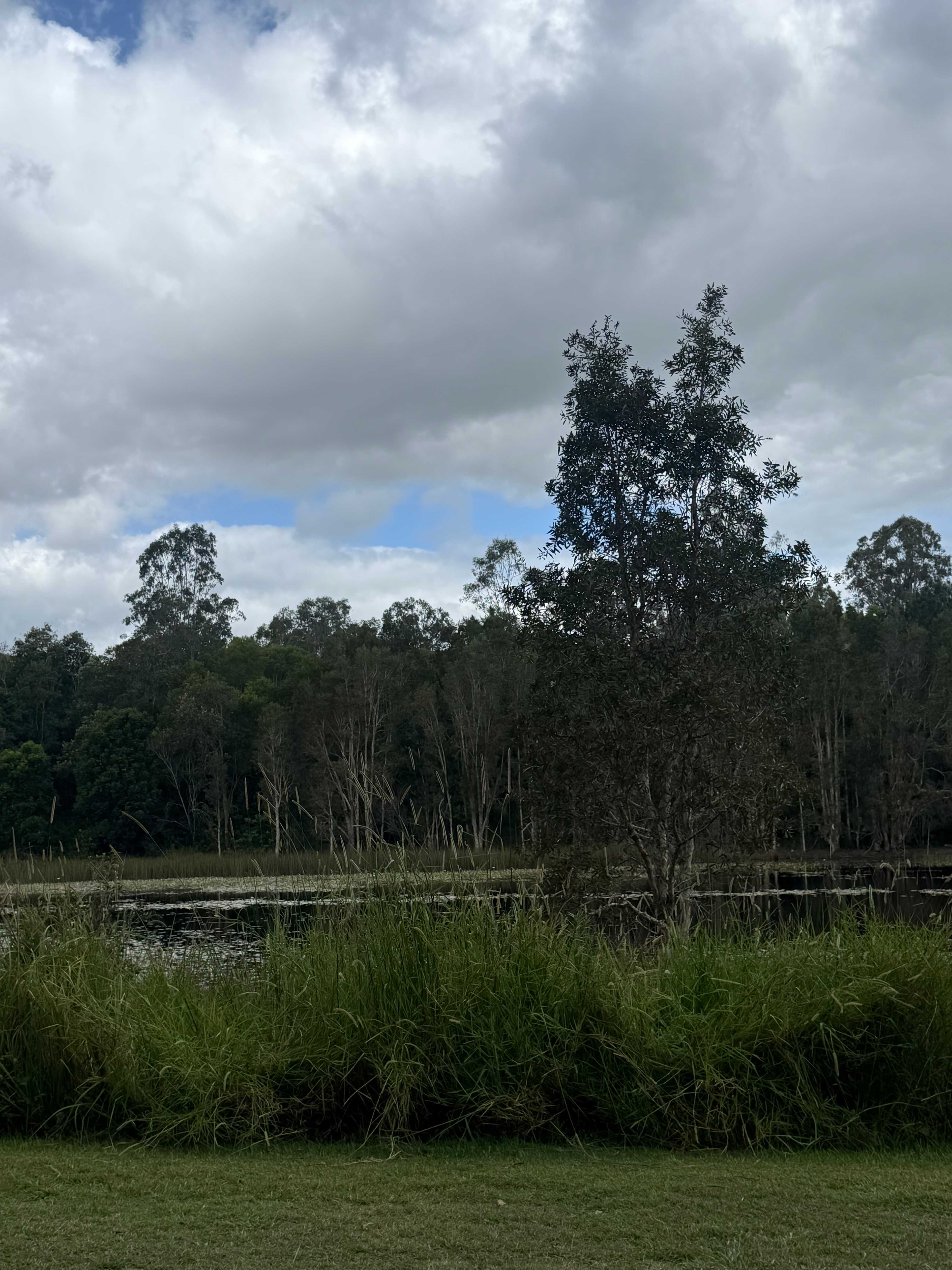 Bushywood at Woodfordskilake