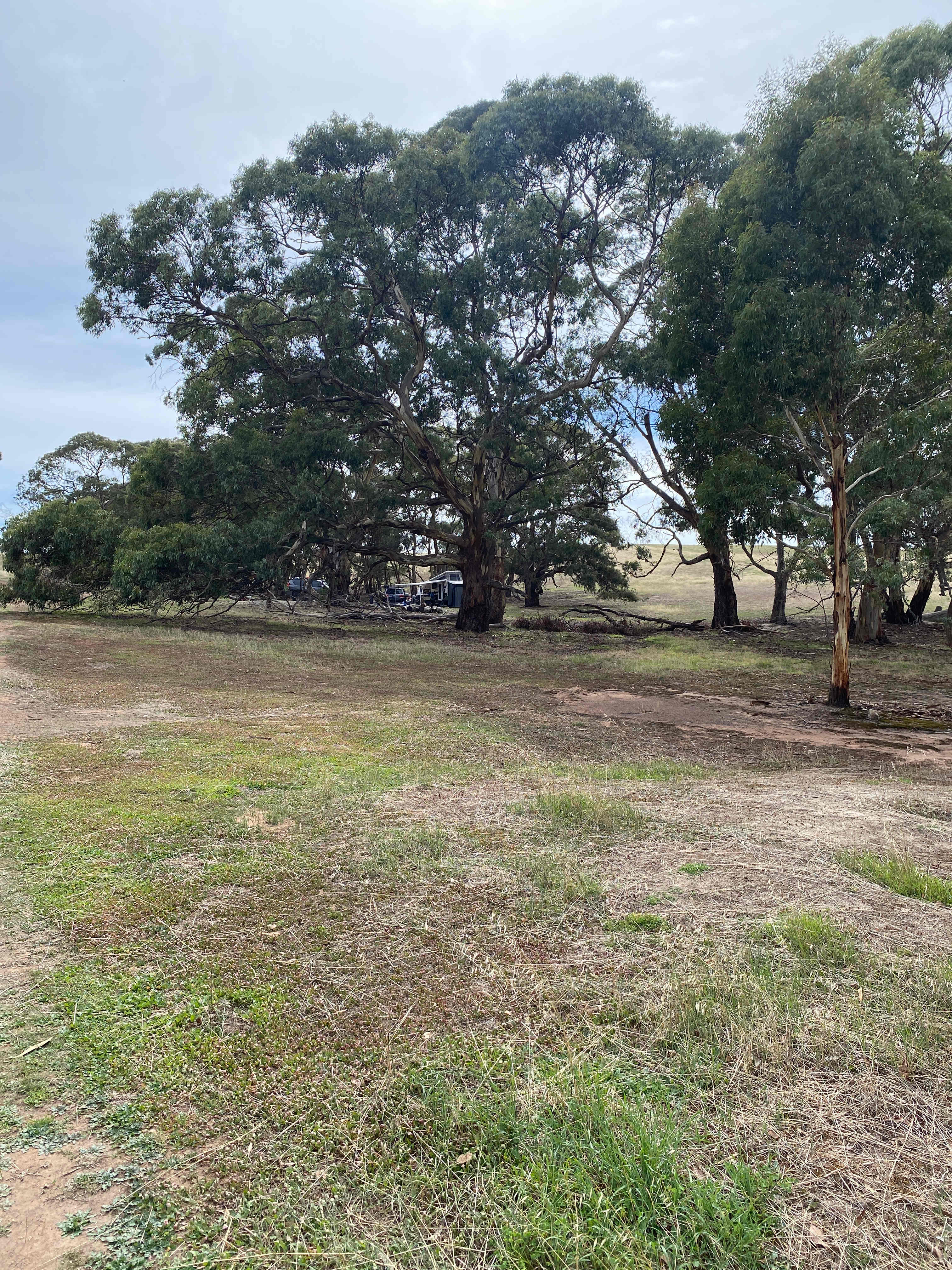 Avondale Heights Campground