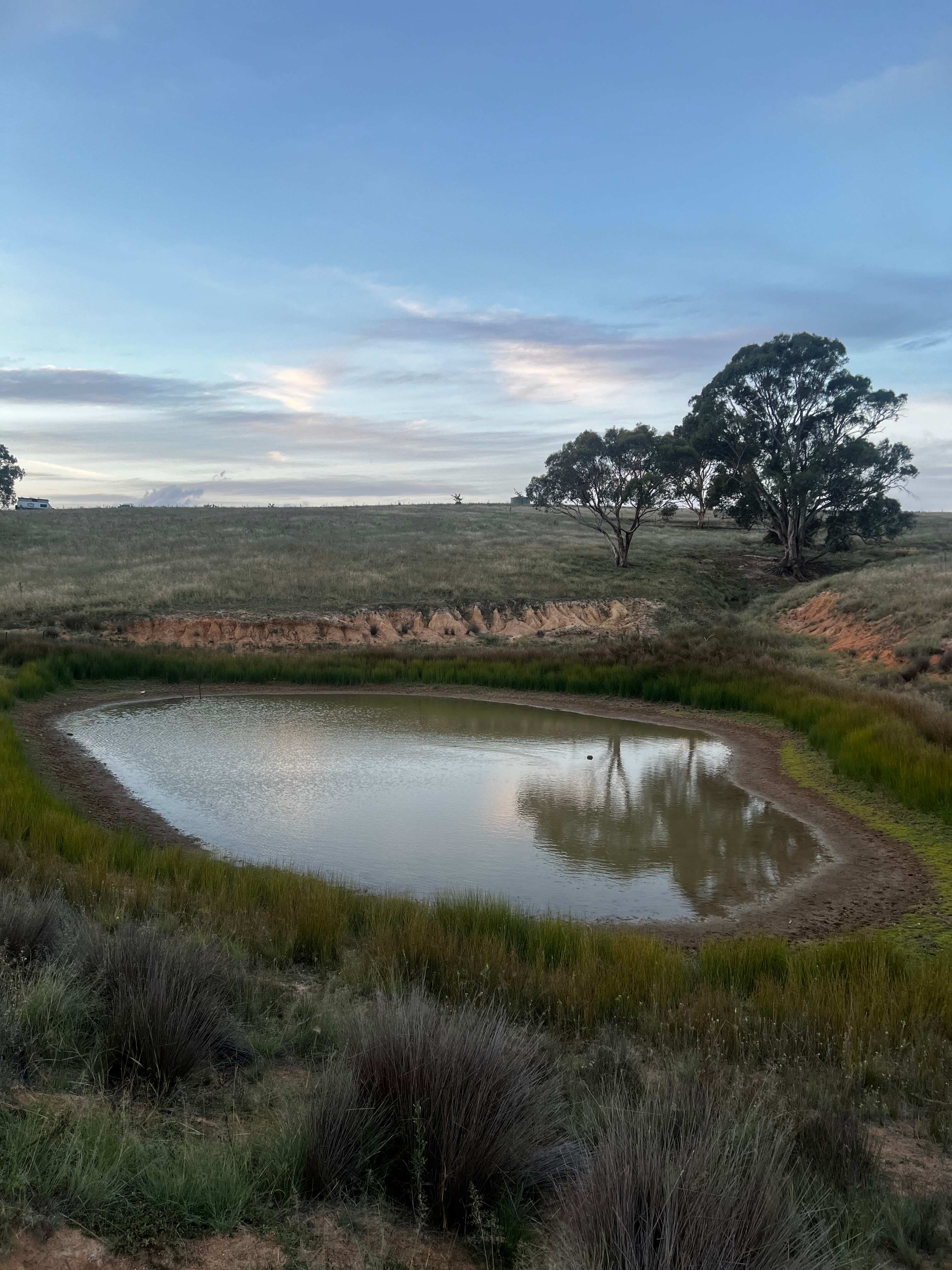Burrendah Farm Camp