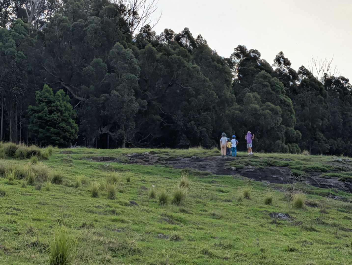 Rewild Farm