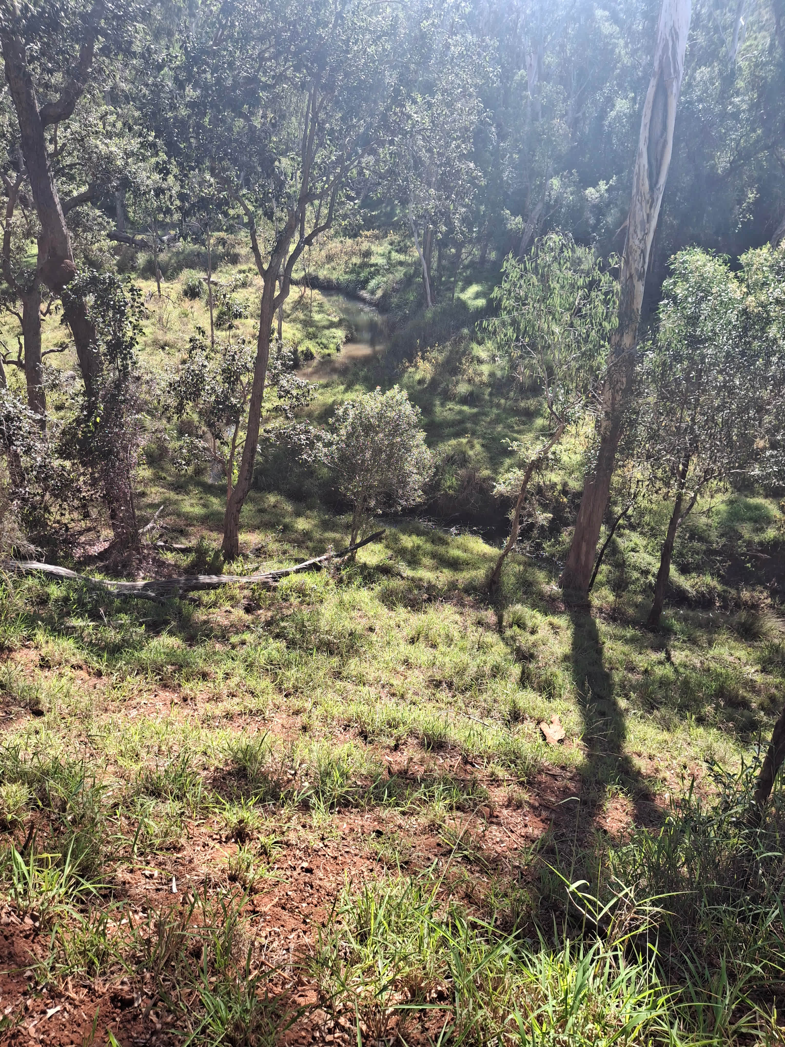 Empty Pockets creek-side Farm Stay