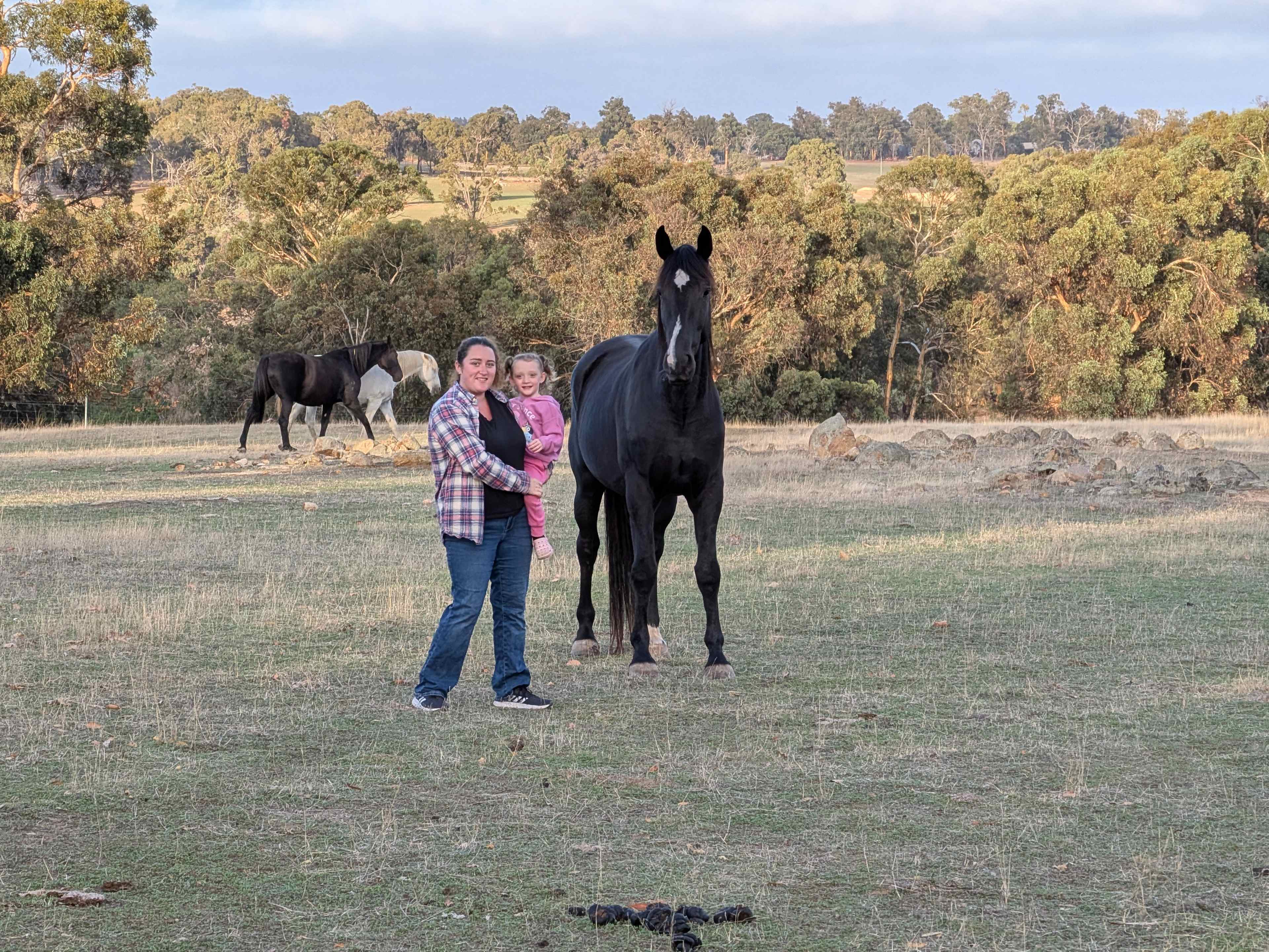 Haddlestone Farm