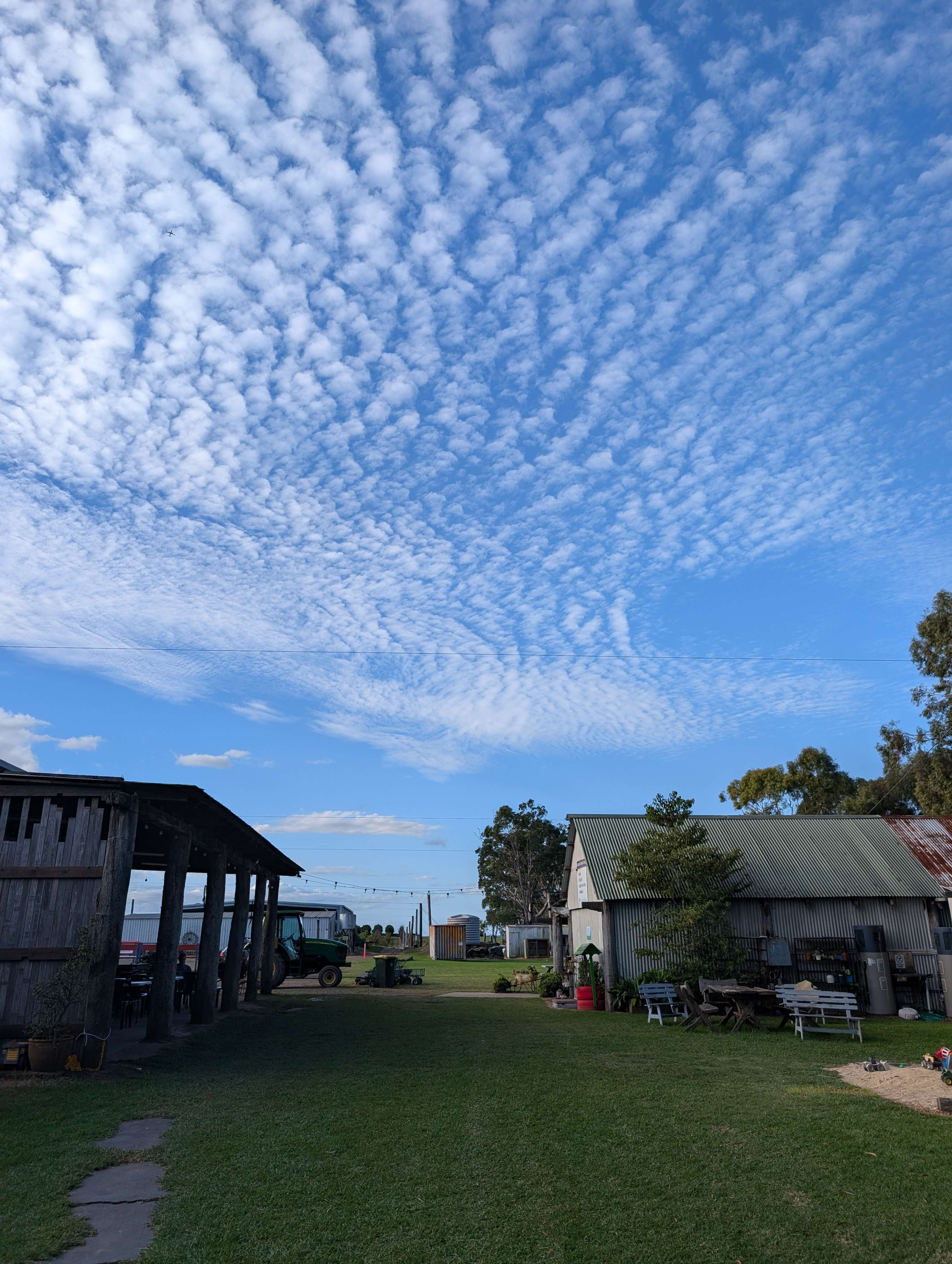 Canoelands Orchard Camping
