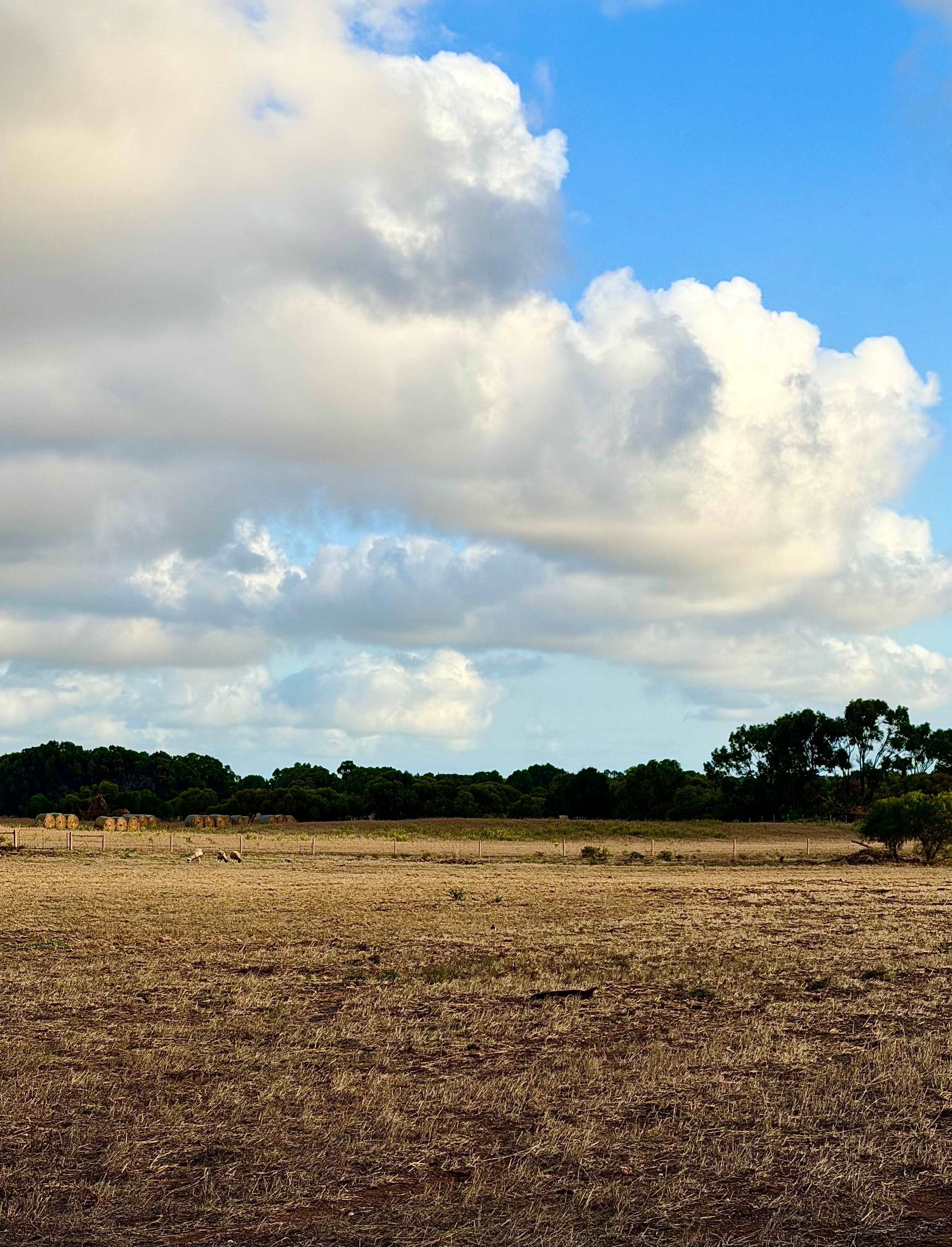 The Mallee Manor Campground Dongara