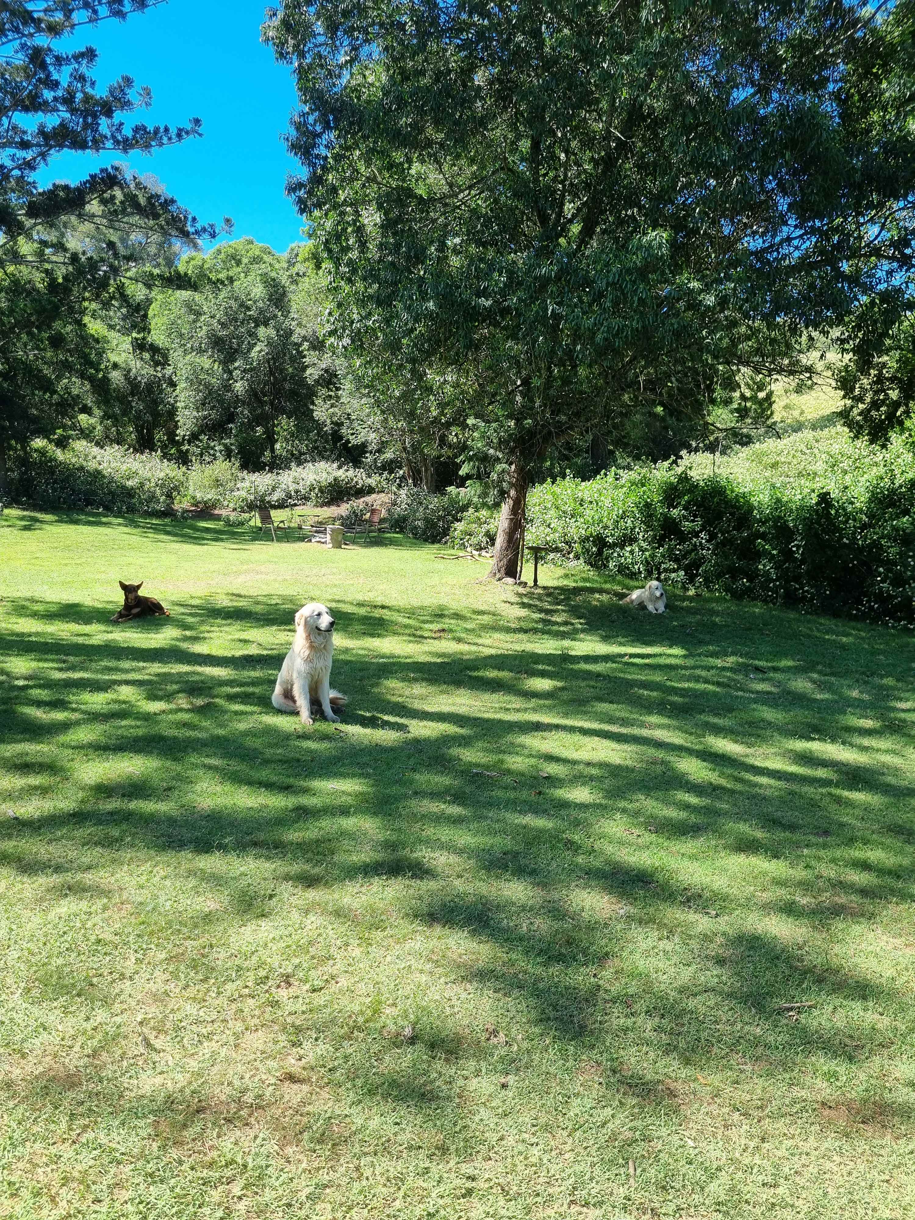 Beautiful site with friendly visitors