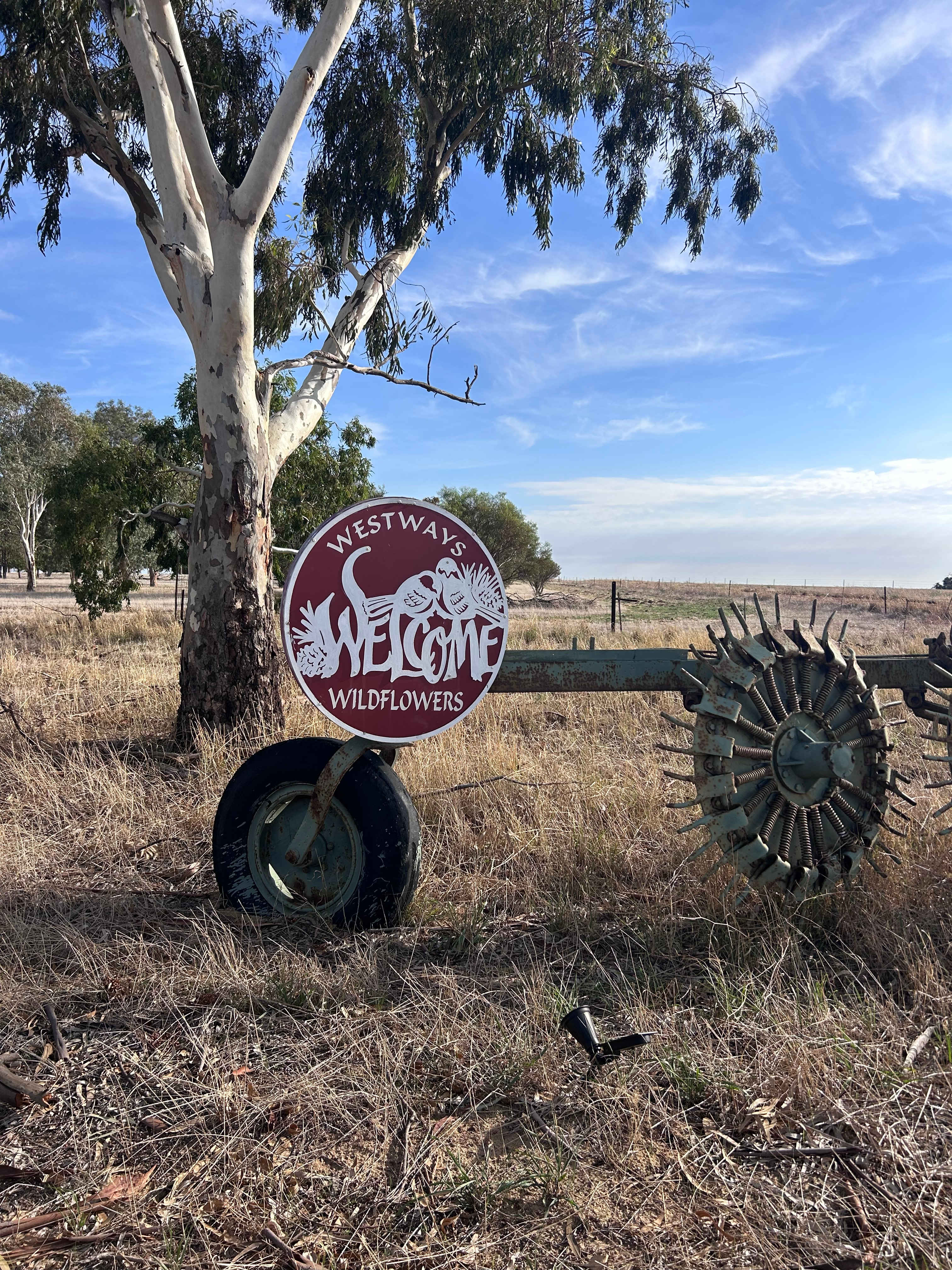 Westways Wildflower Farm